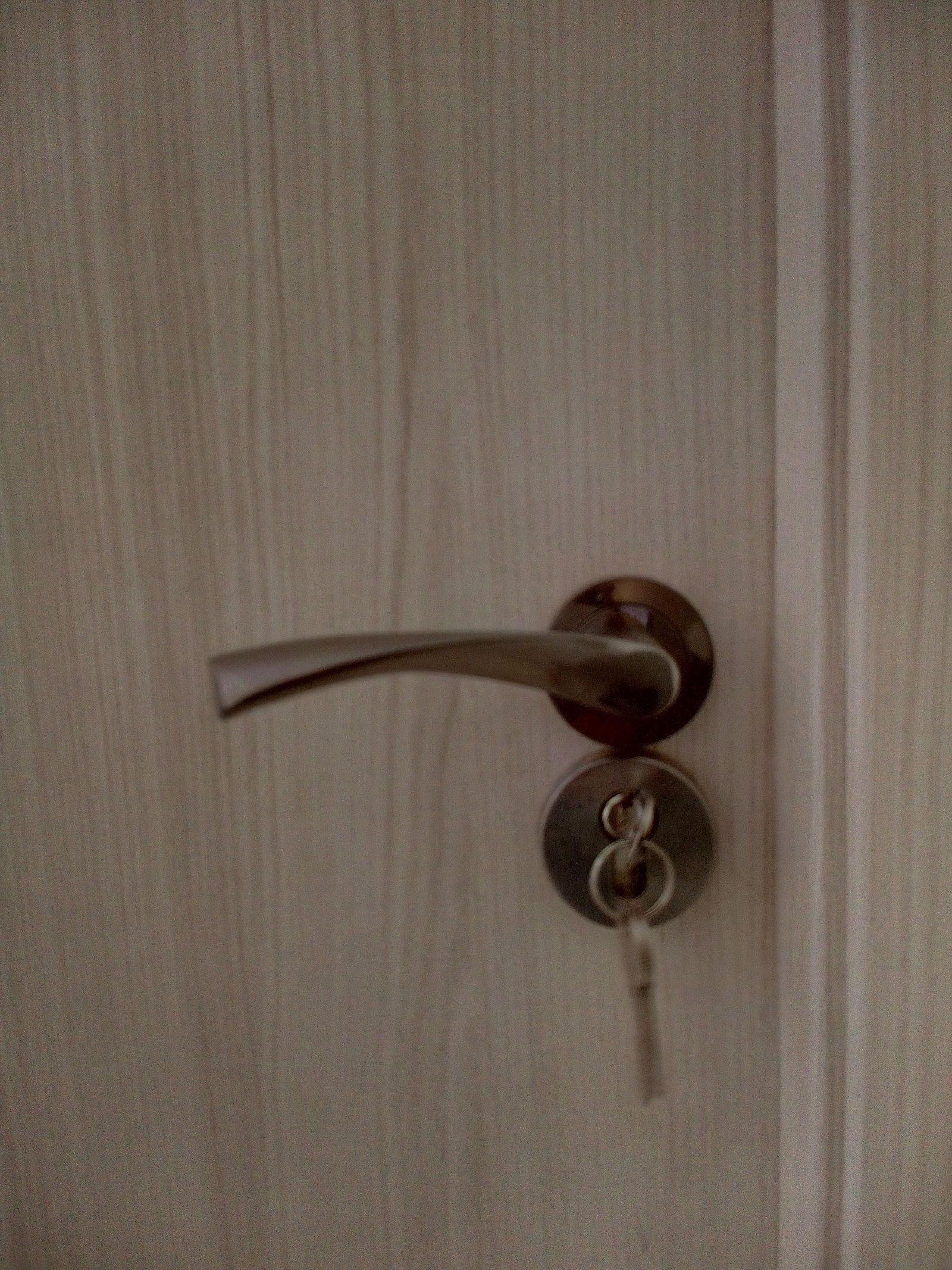 Famiglia València 259422