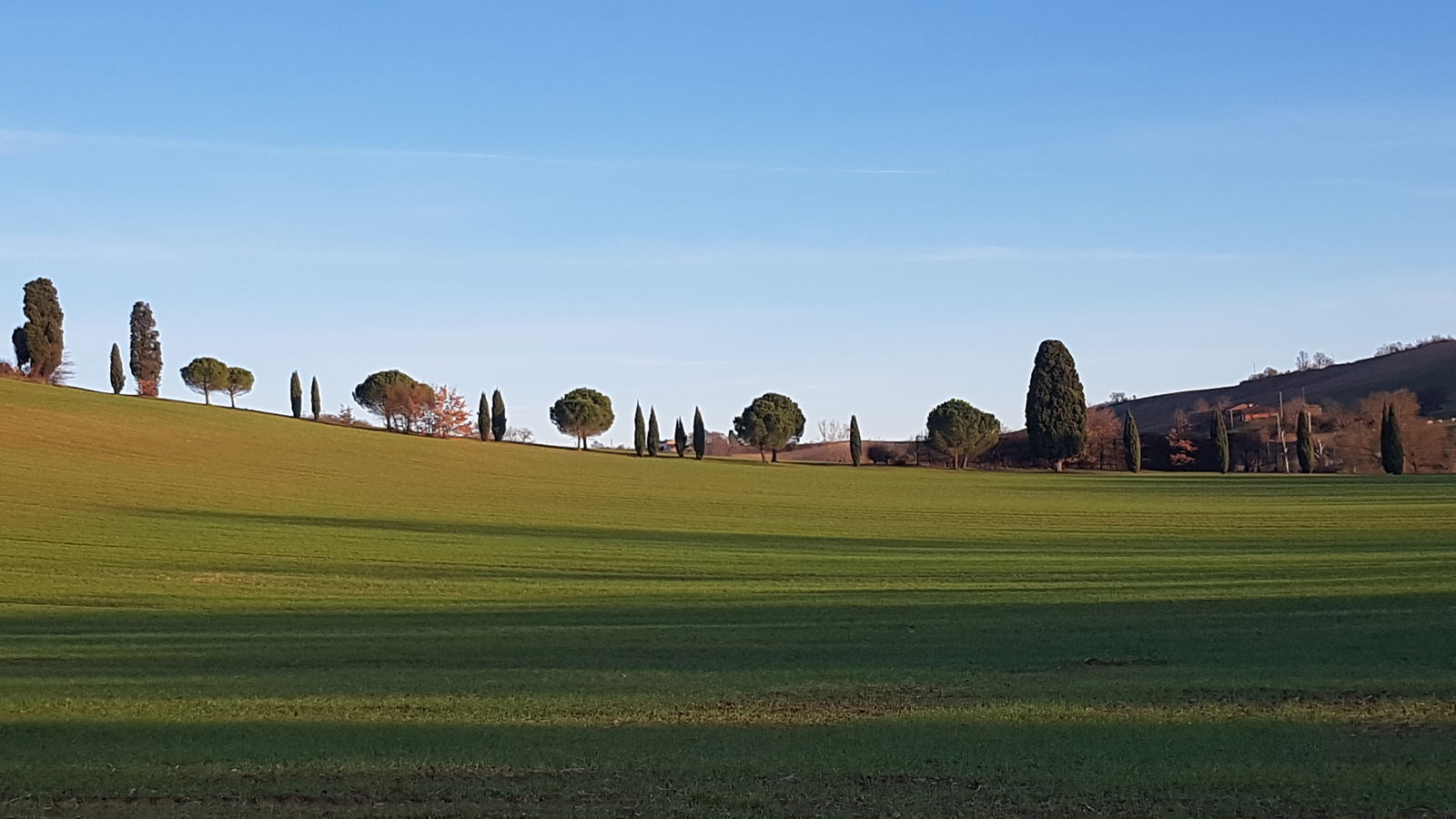 Famiglia Lézat-sur-Lèze 267604