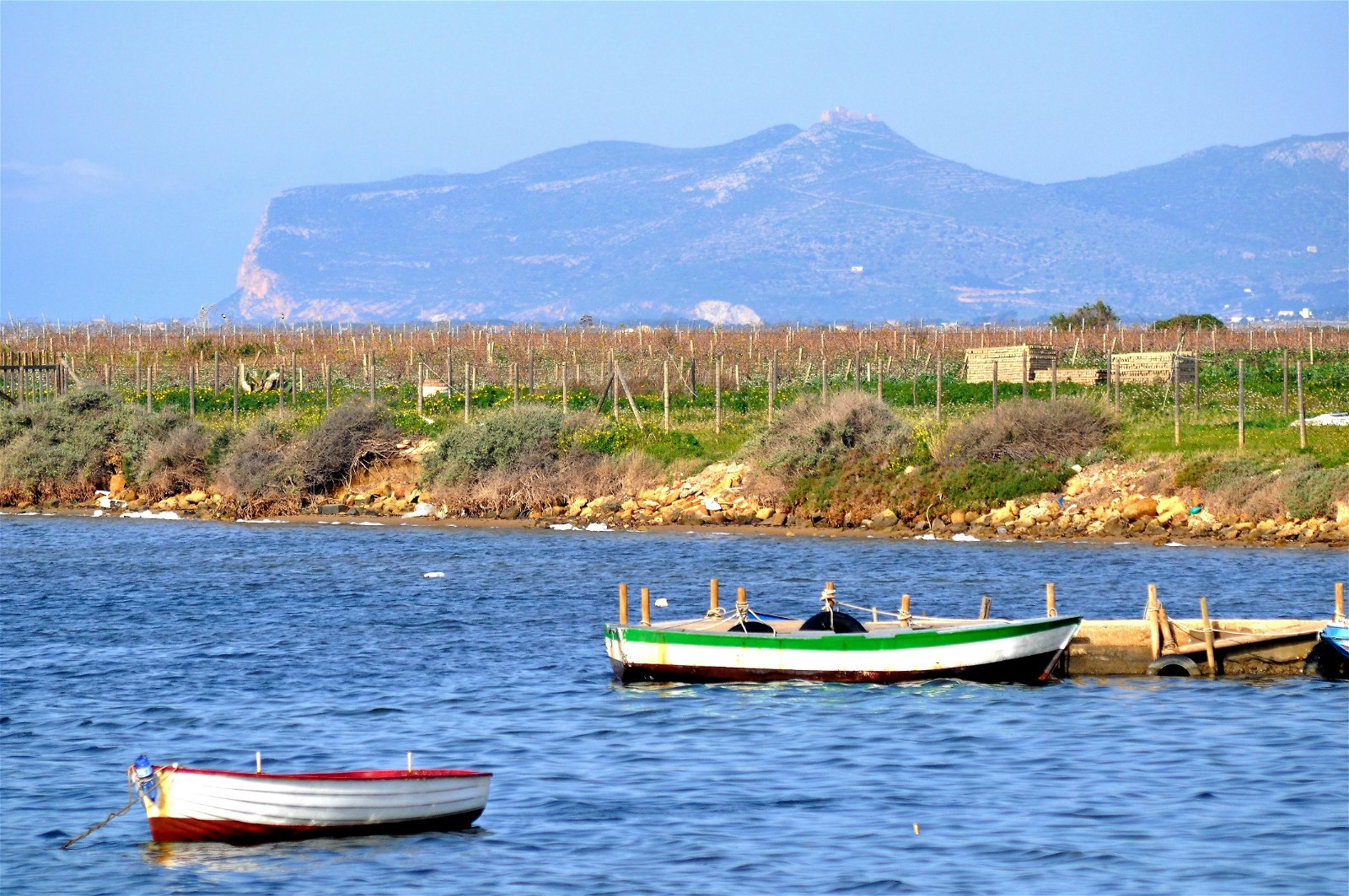 Homestay Marsala 248691