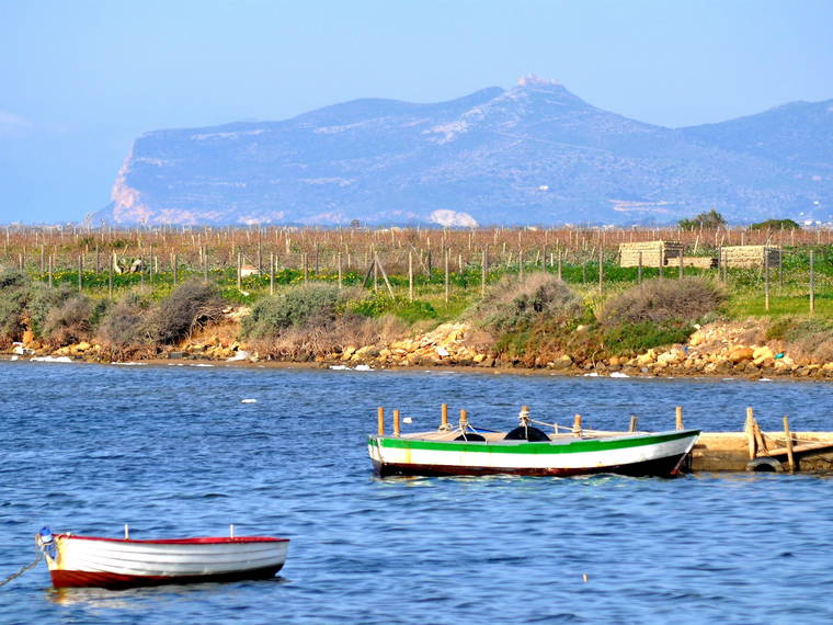 Quedarse En Casa Marsala 248691-1