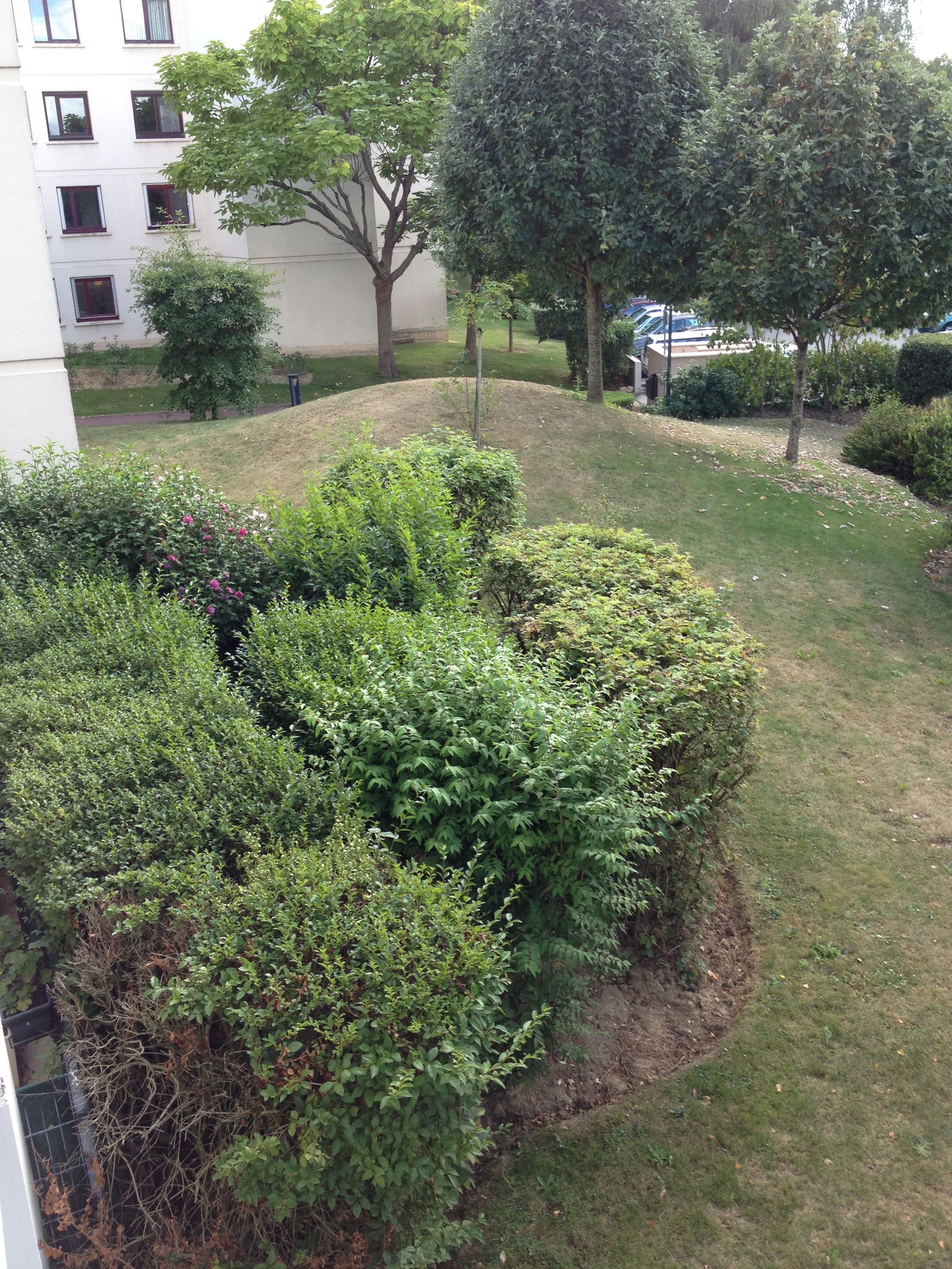 Famiglia Montigny-le-Bretonneux 364056