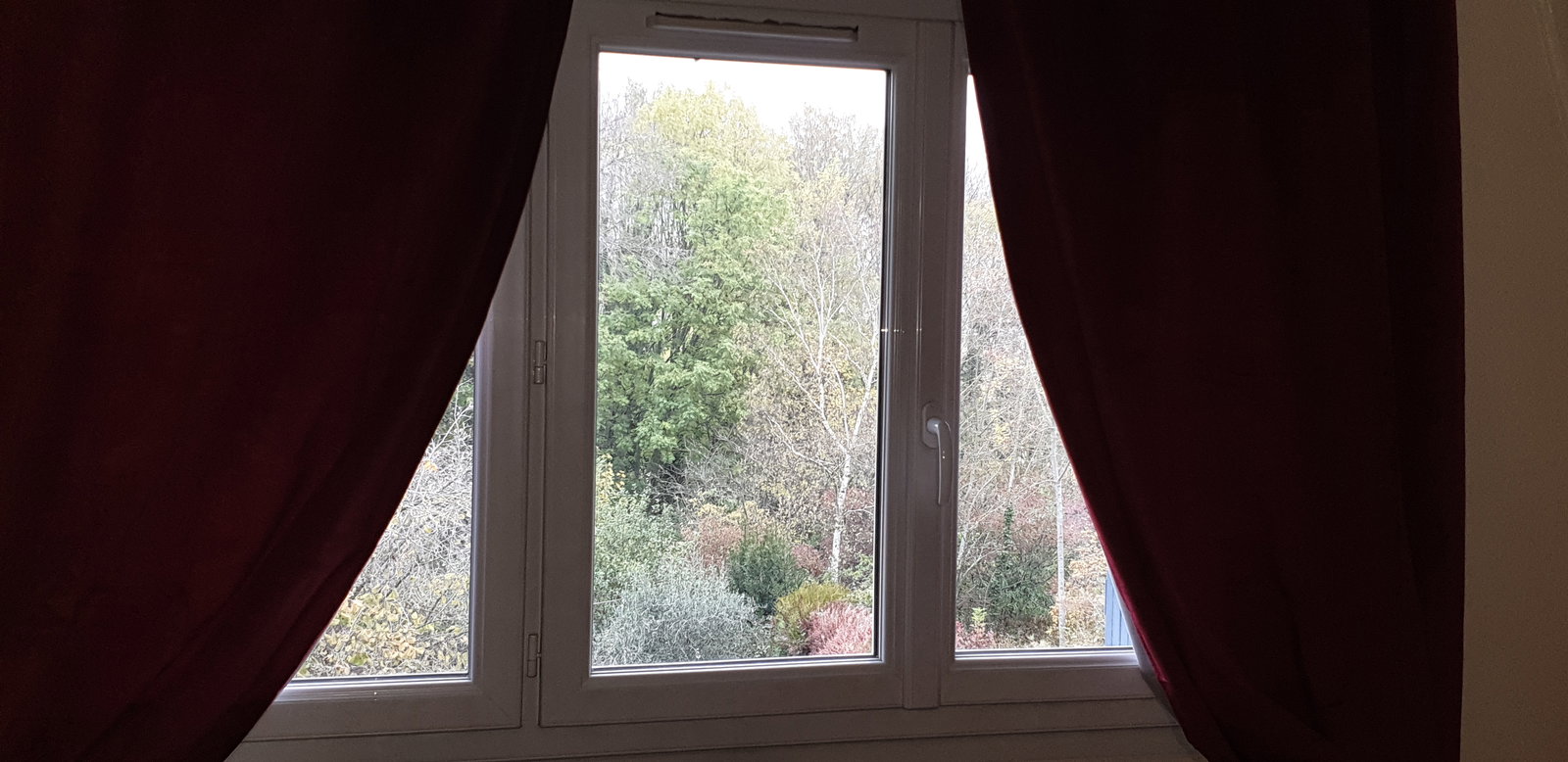 Famiglia Antony 231853