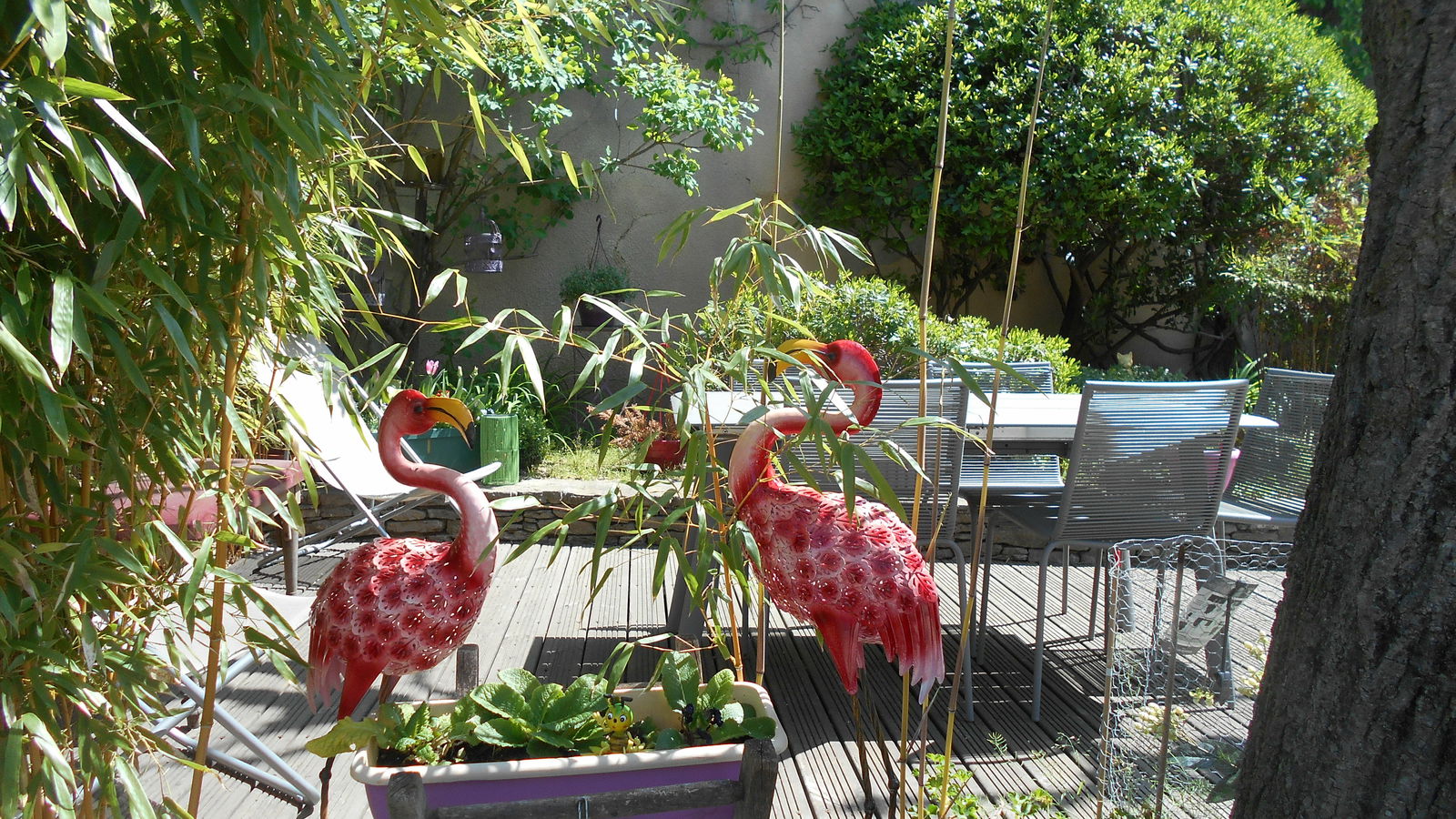 Camere Per Gli Ospiti Donzère 108311