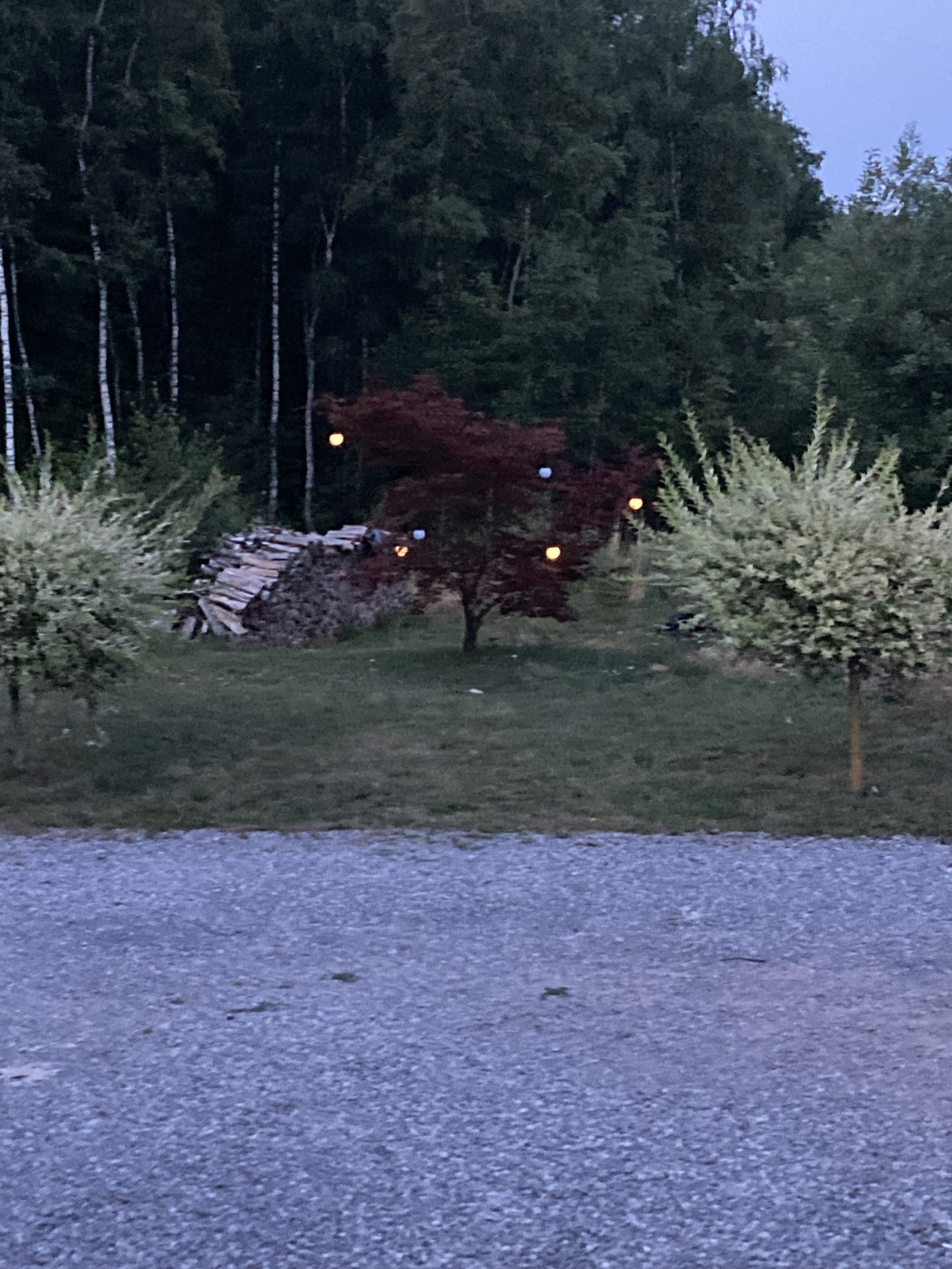 Famiglia Andenne 255983