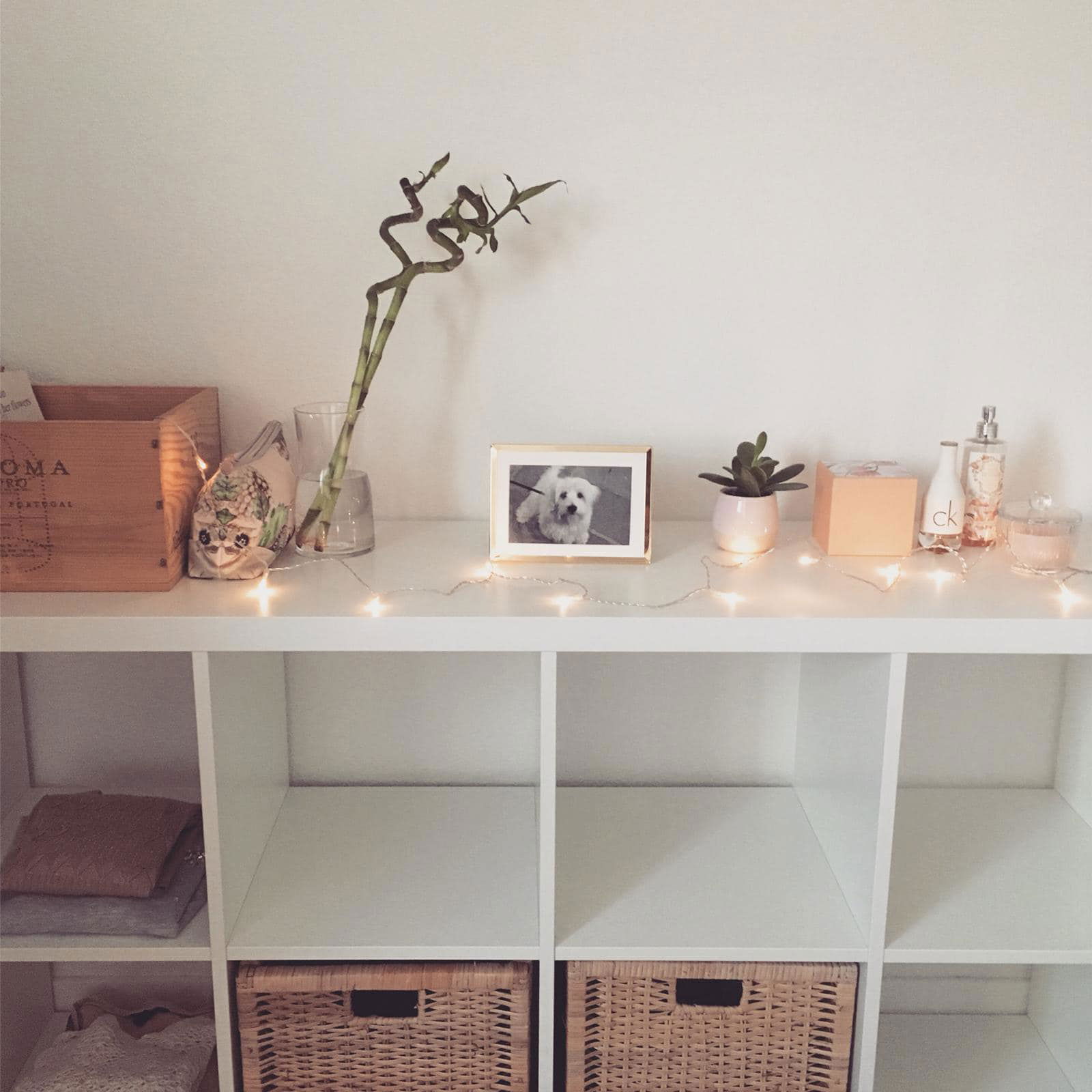 Famiglia Ferney-Voltaire 332145