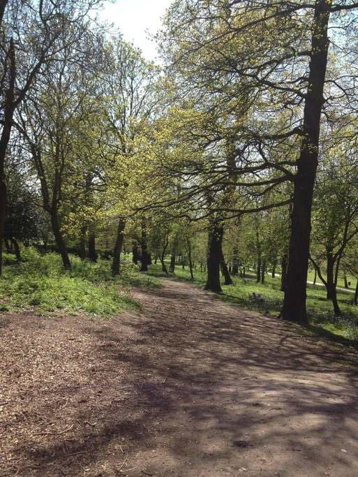 Famiglia London 86704