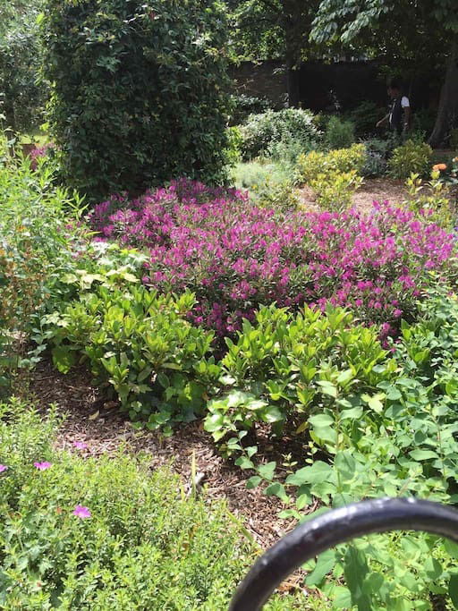 Famiglia London 86704