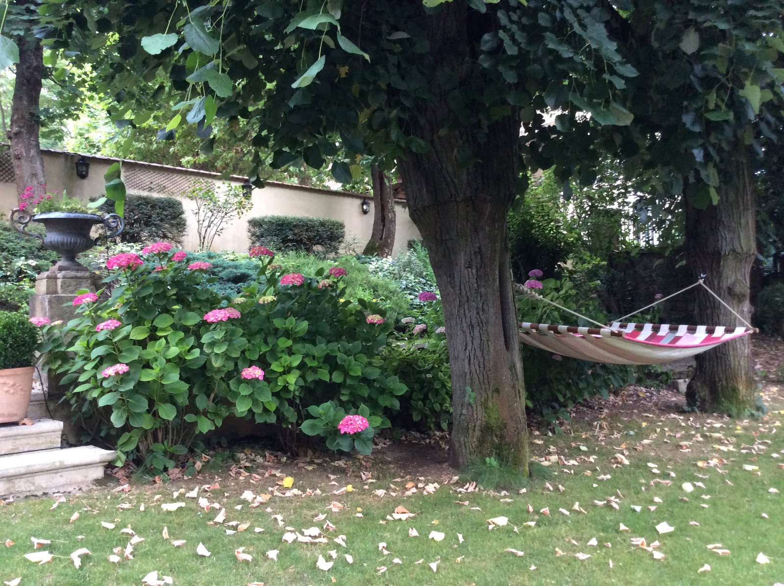 Famiglia Tassin-la-Demi-Lune 13565