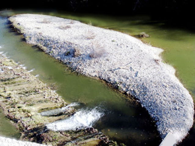 Camere Per Gli Ospiti Sommières 13496