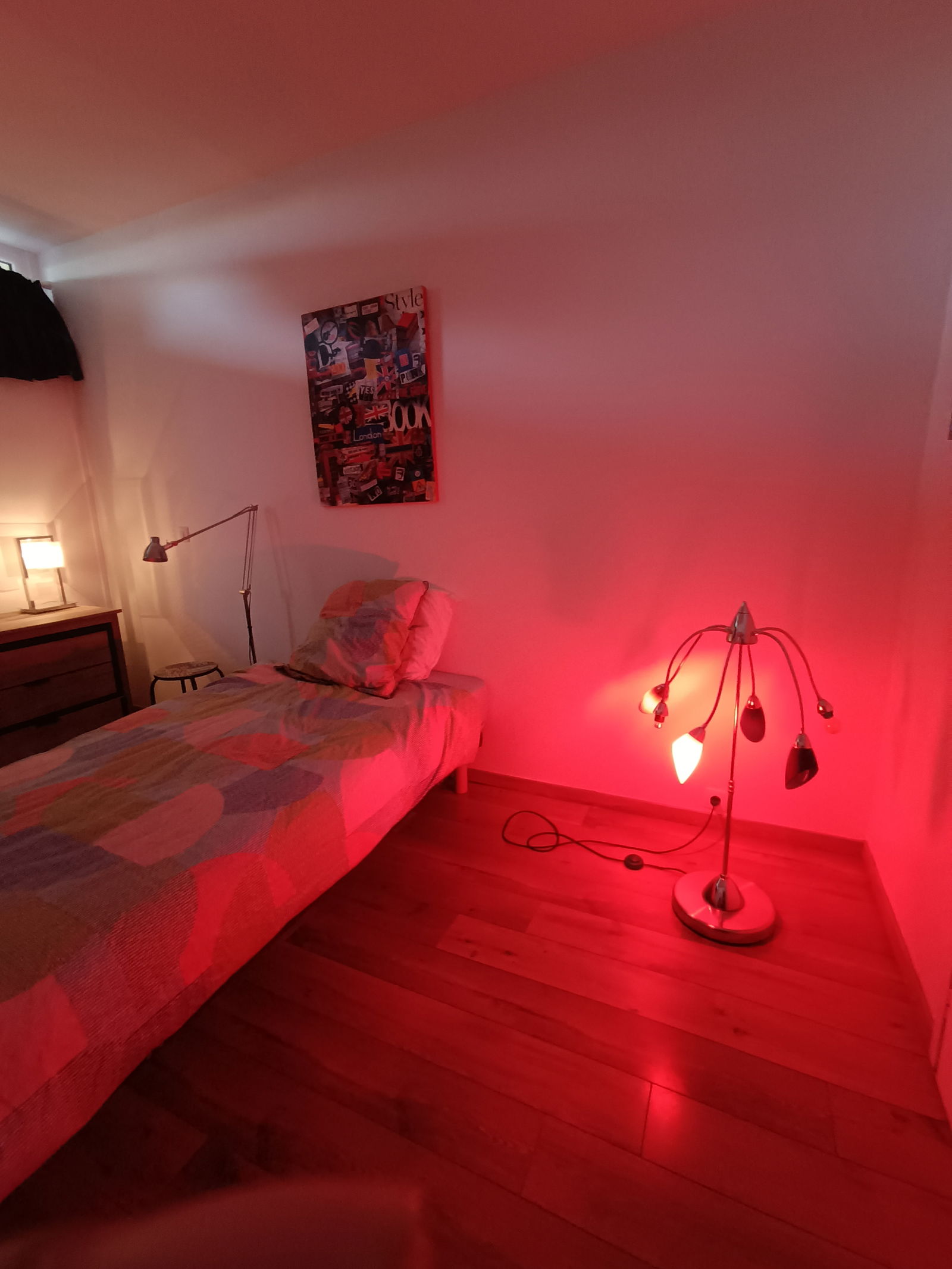 Famiglia Lille 245632