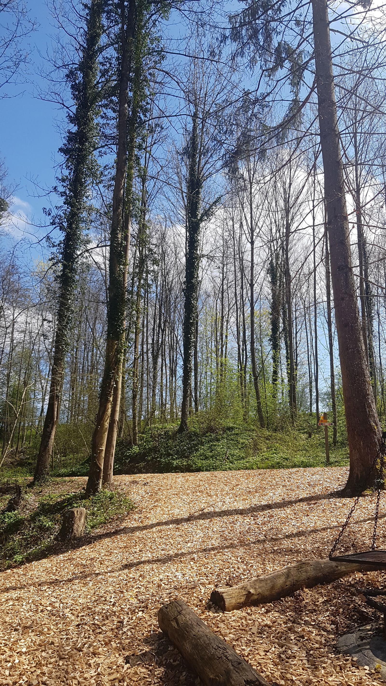 Famiglia Grolley 301322