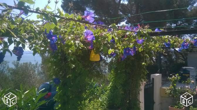 Tutta La Casa Istres 124276