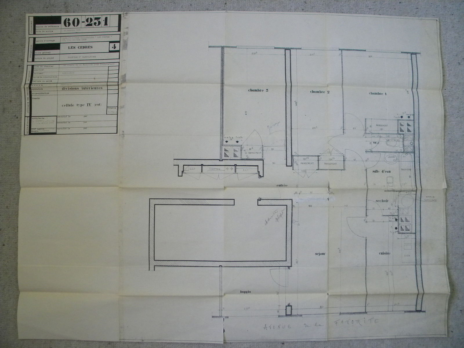 Famiglia Lyon 215856