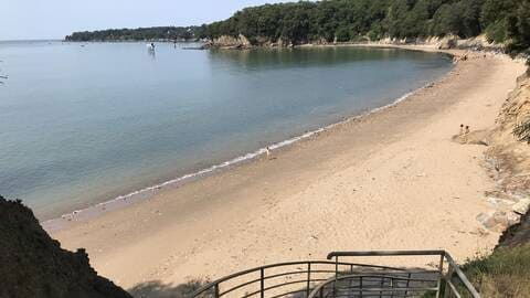 Collocazione Saint-Nazaire 236260