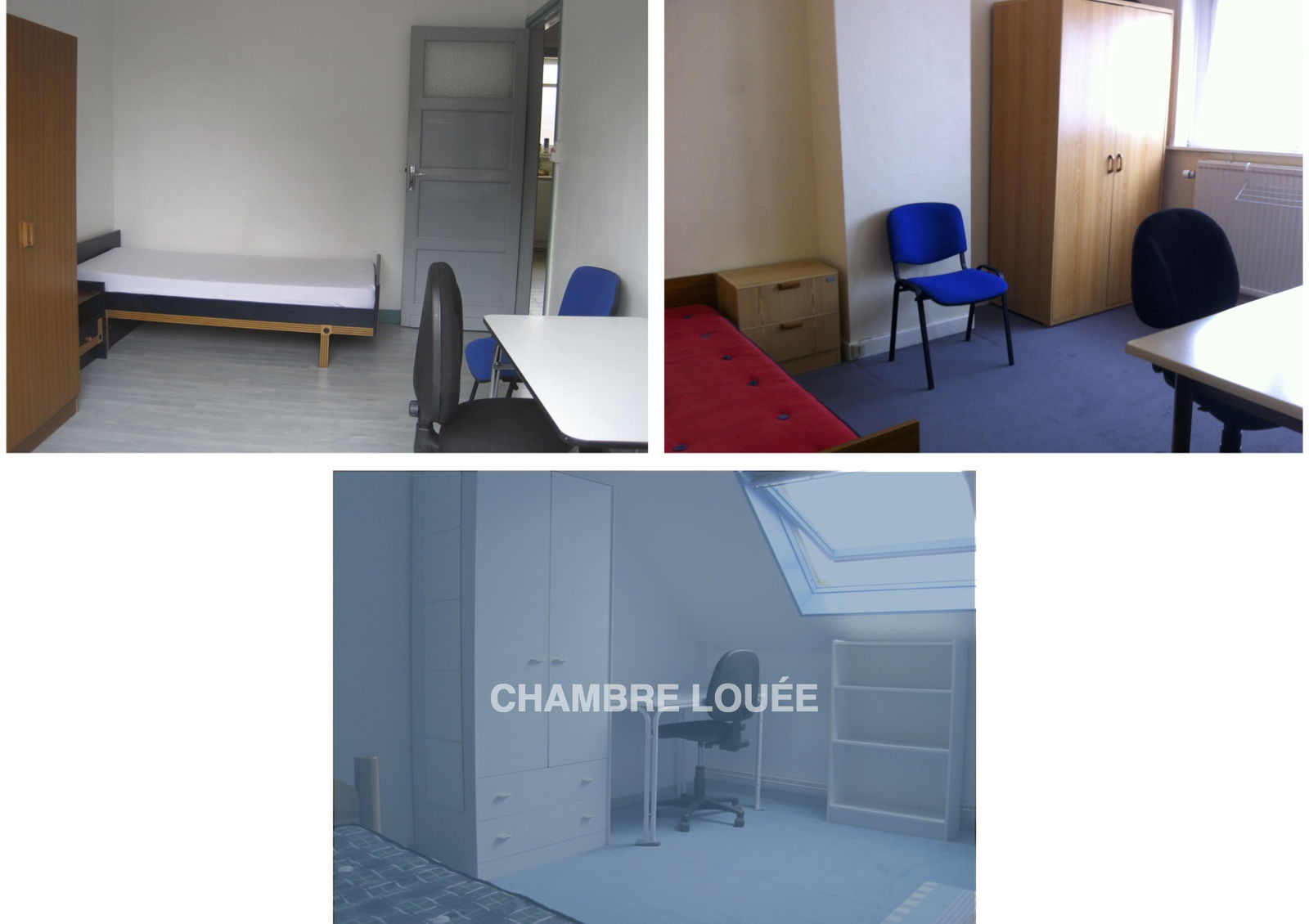 Collocazione Loos 109088