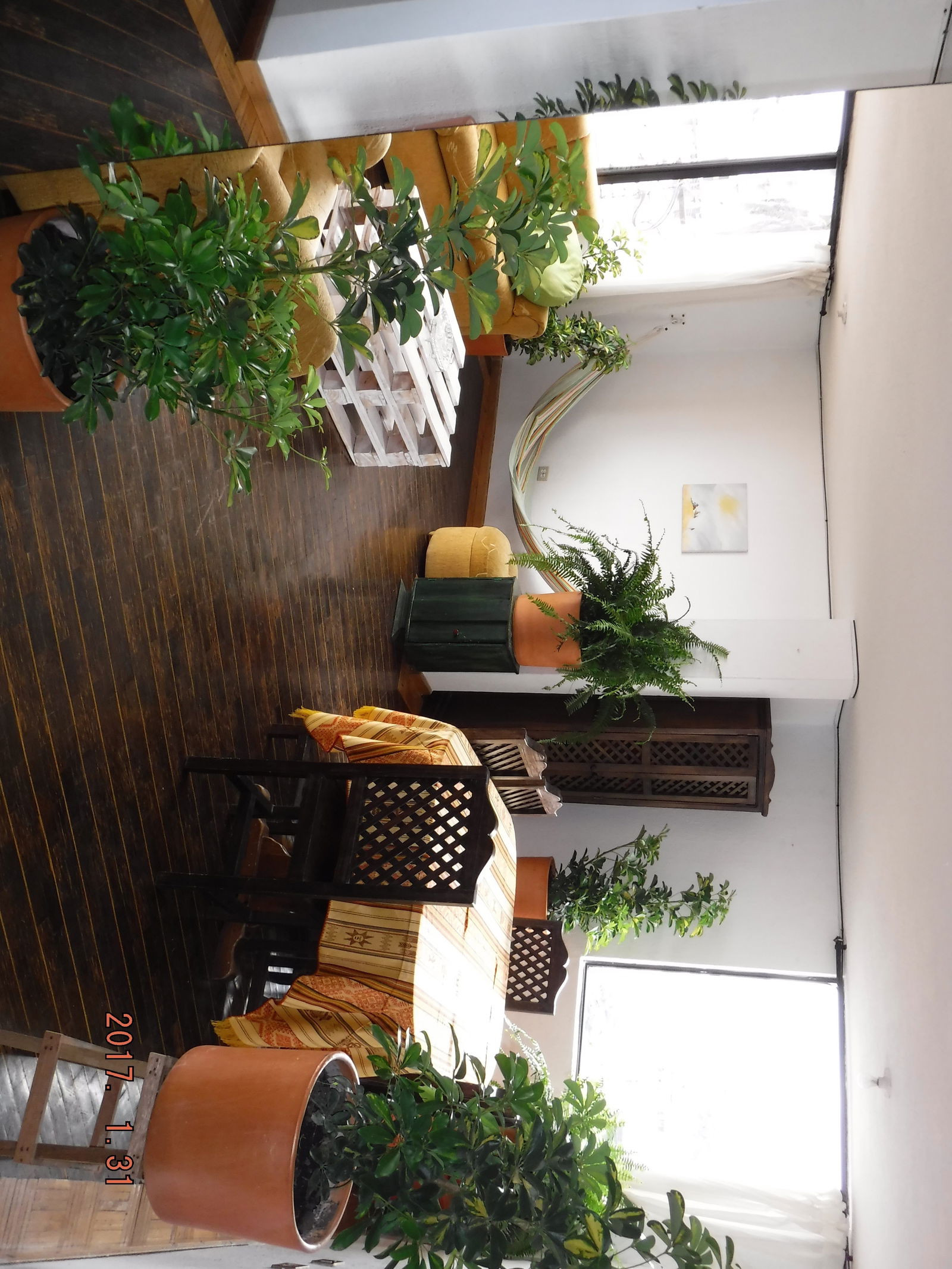 Collocazione Quito 54257