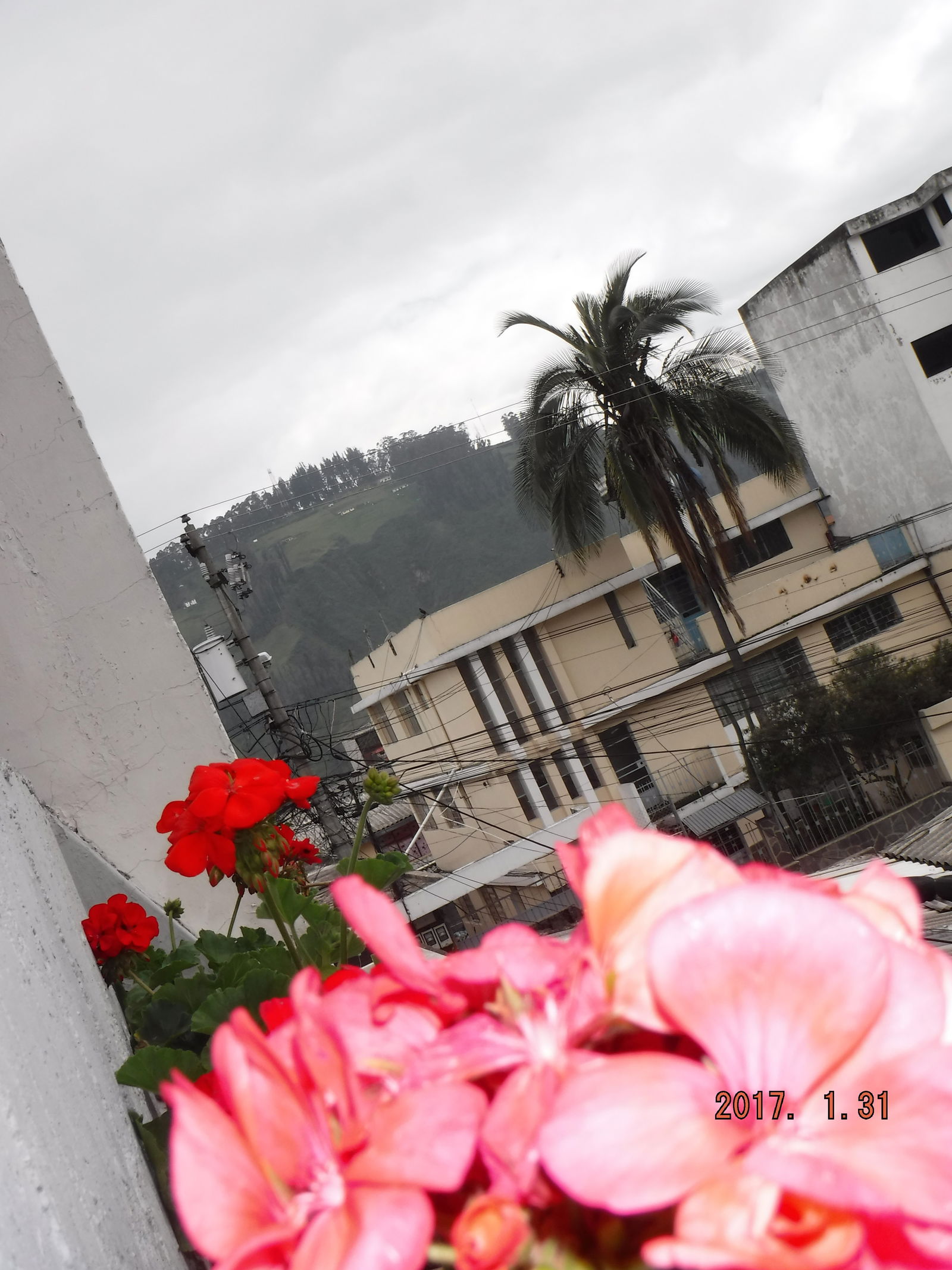 Collocazione Quito 54257