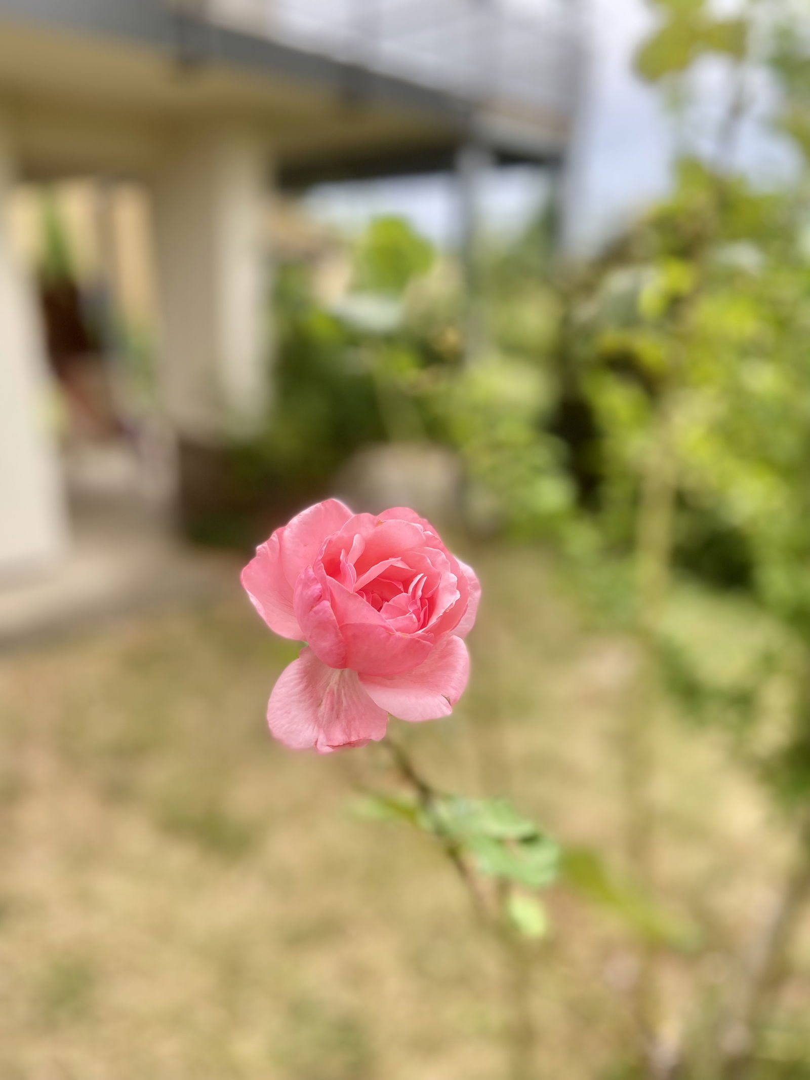 Tutta La Casa Saverne 212050