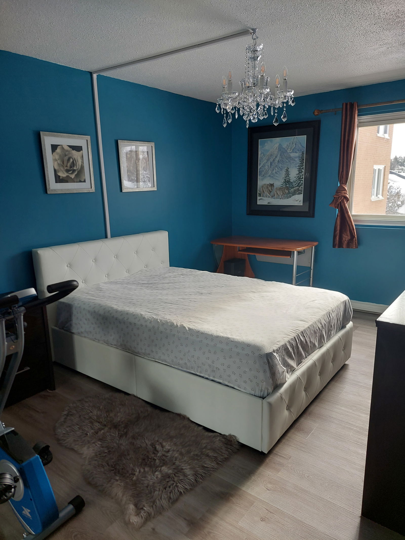 Collocazione Ottawa 262478