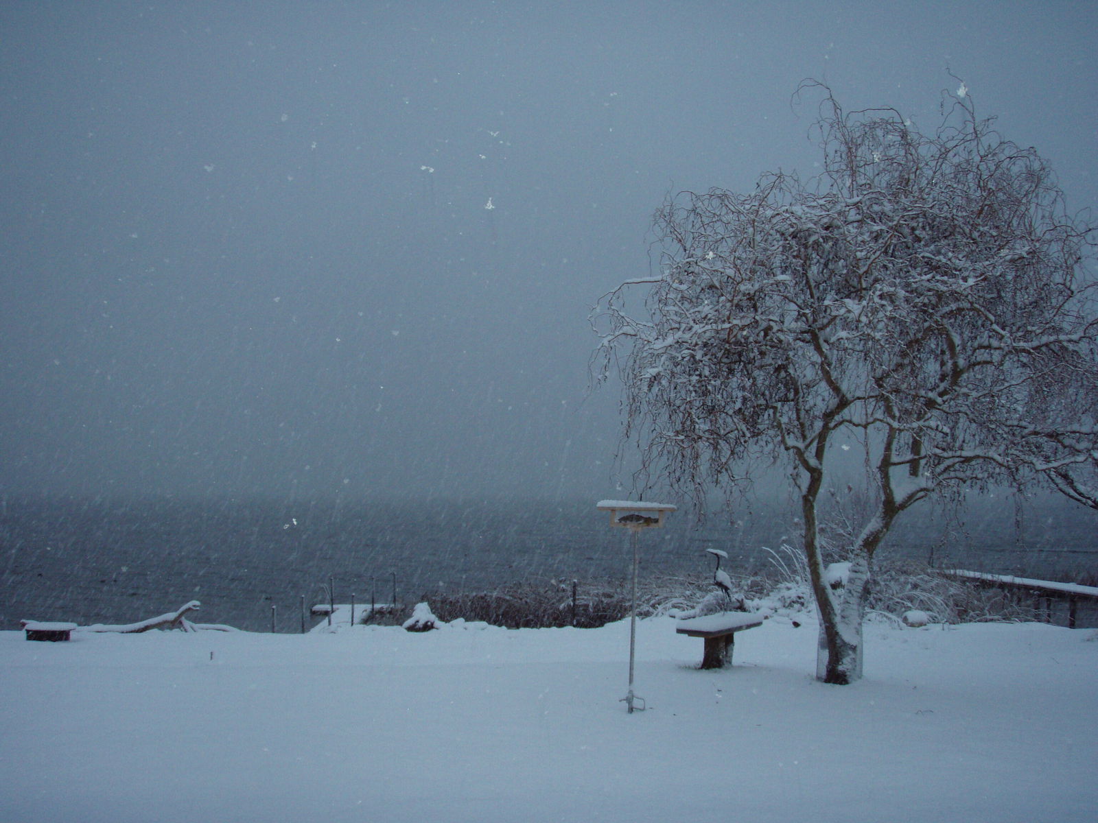 Famiglia Vallamand 210806