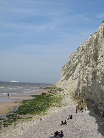 Tutta La Casa Peuplingues 11468