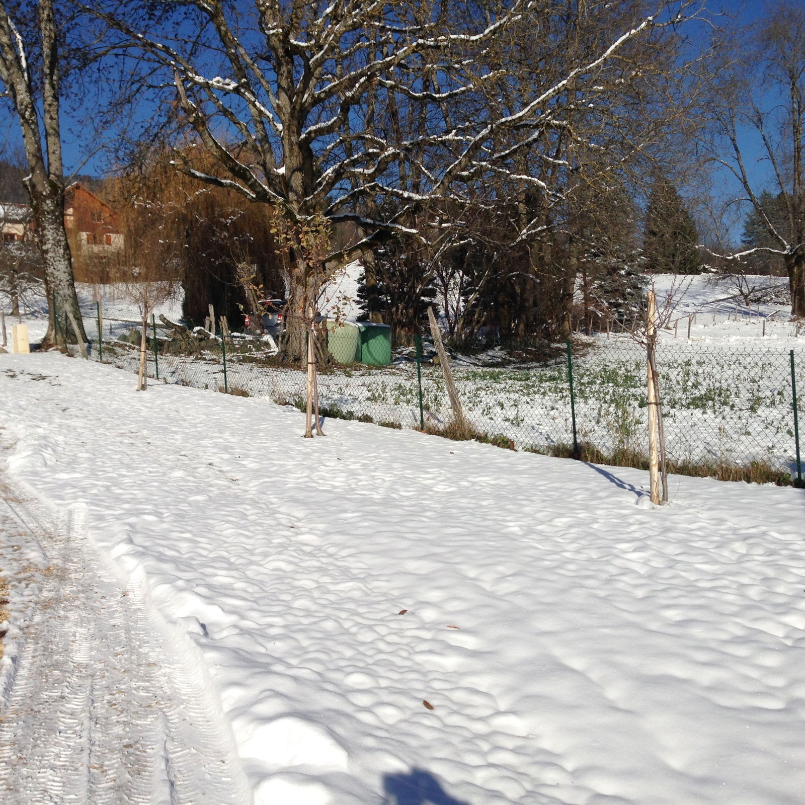 Famiglia Theys 216922