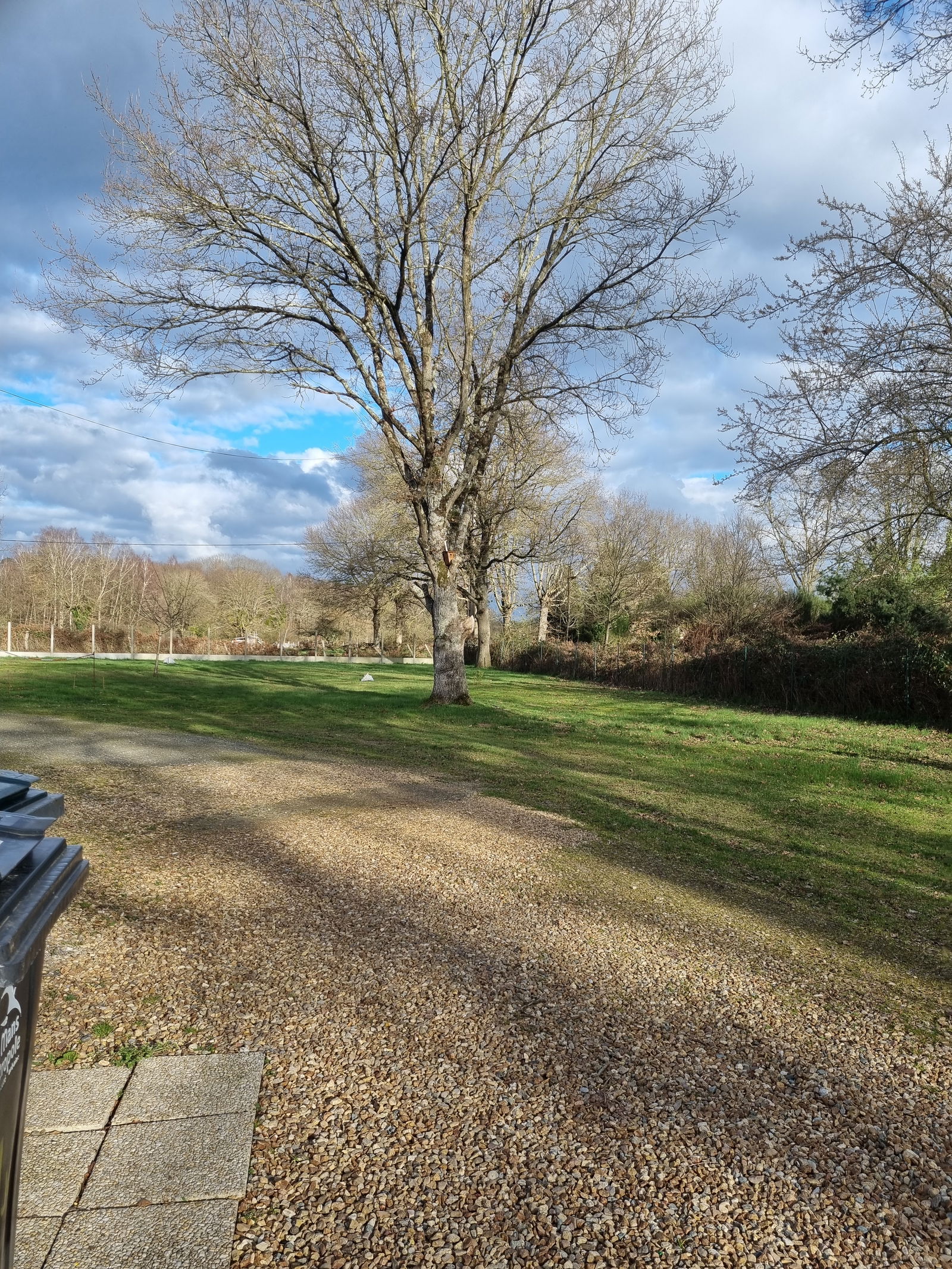 Collocazione Ruaudin 141598