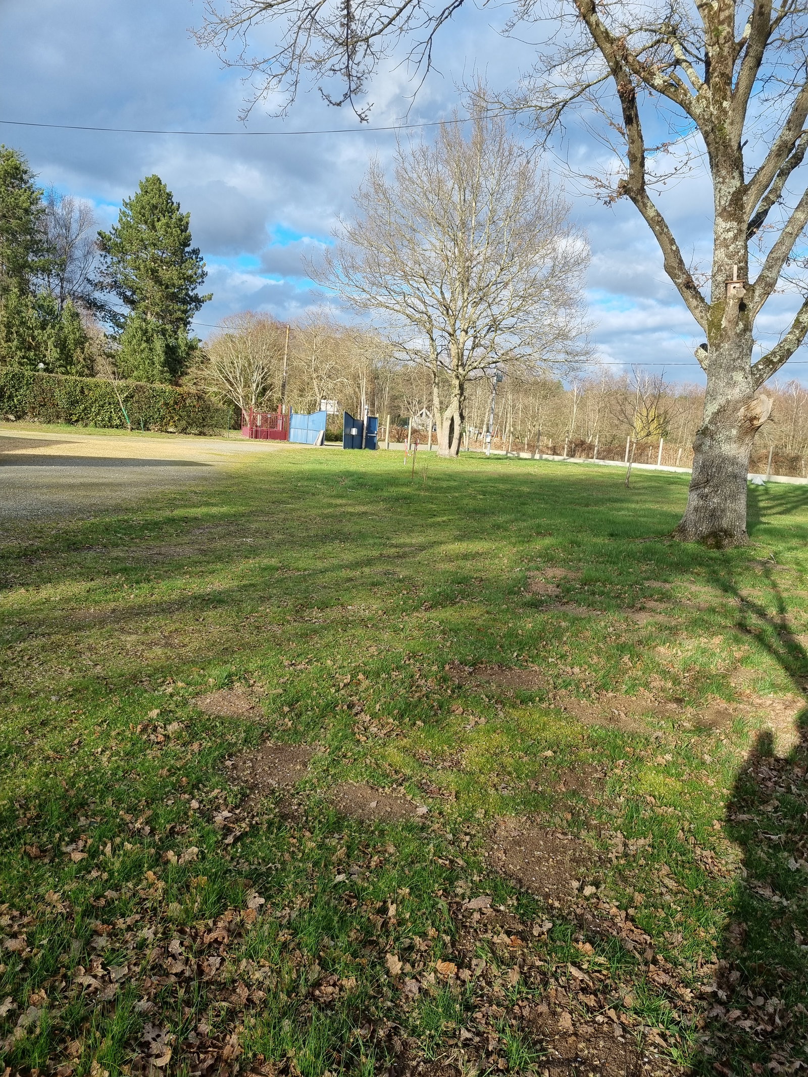 Collocazione Ruaudin 141598