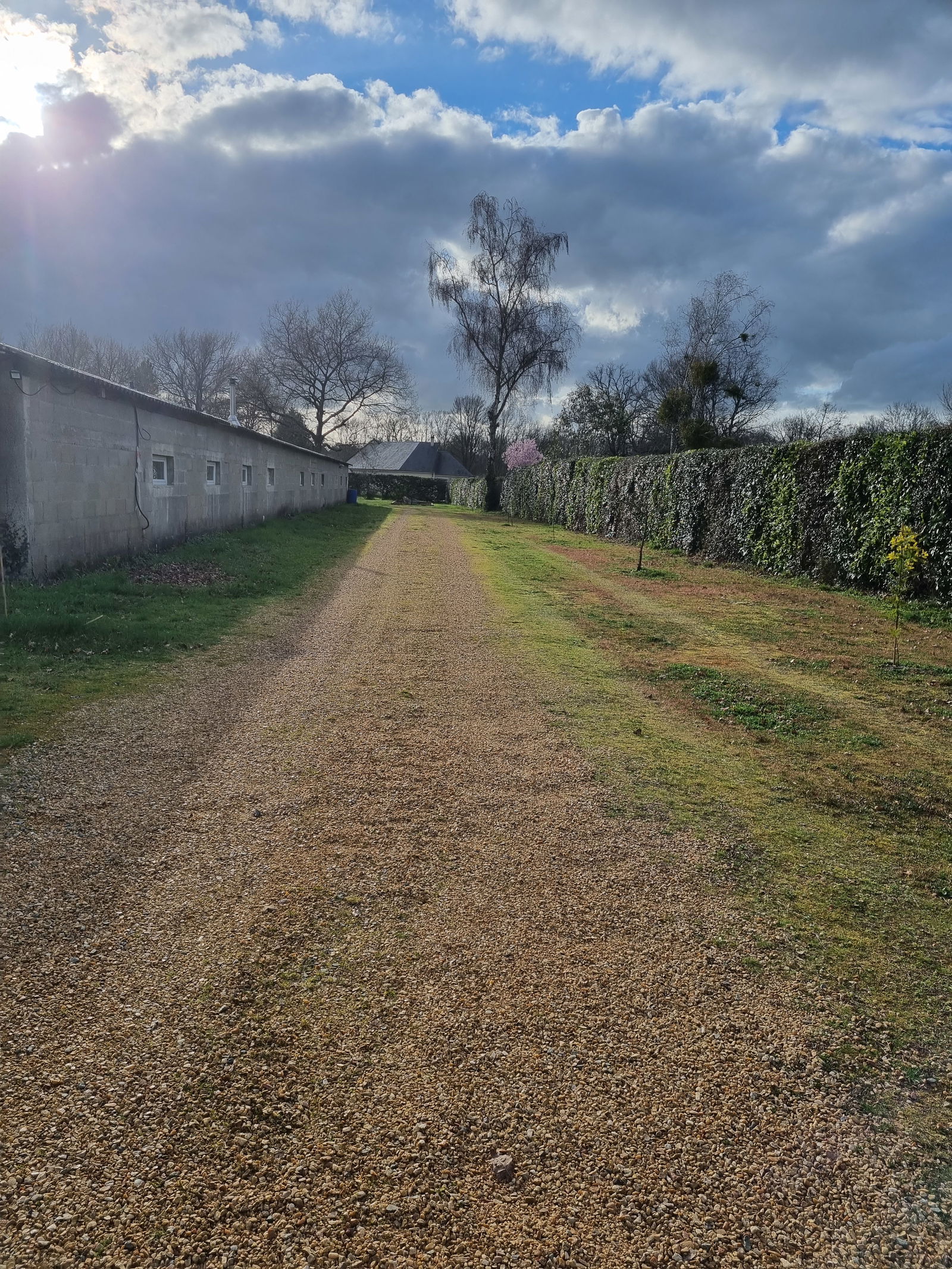 Collocazione Ruaudin 141598