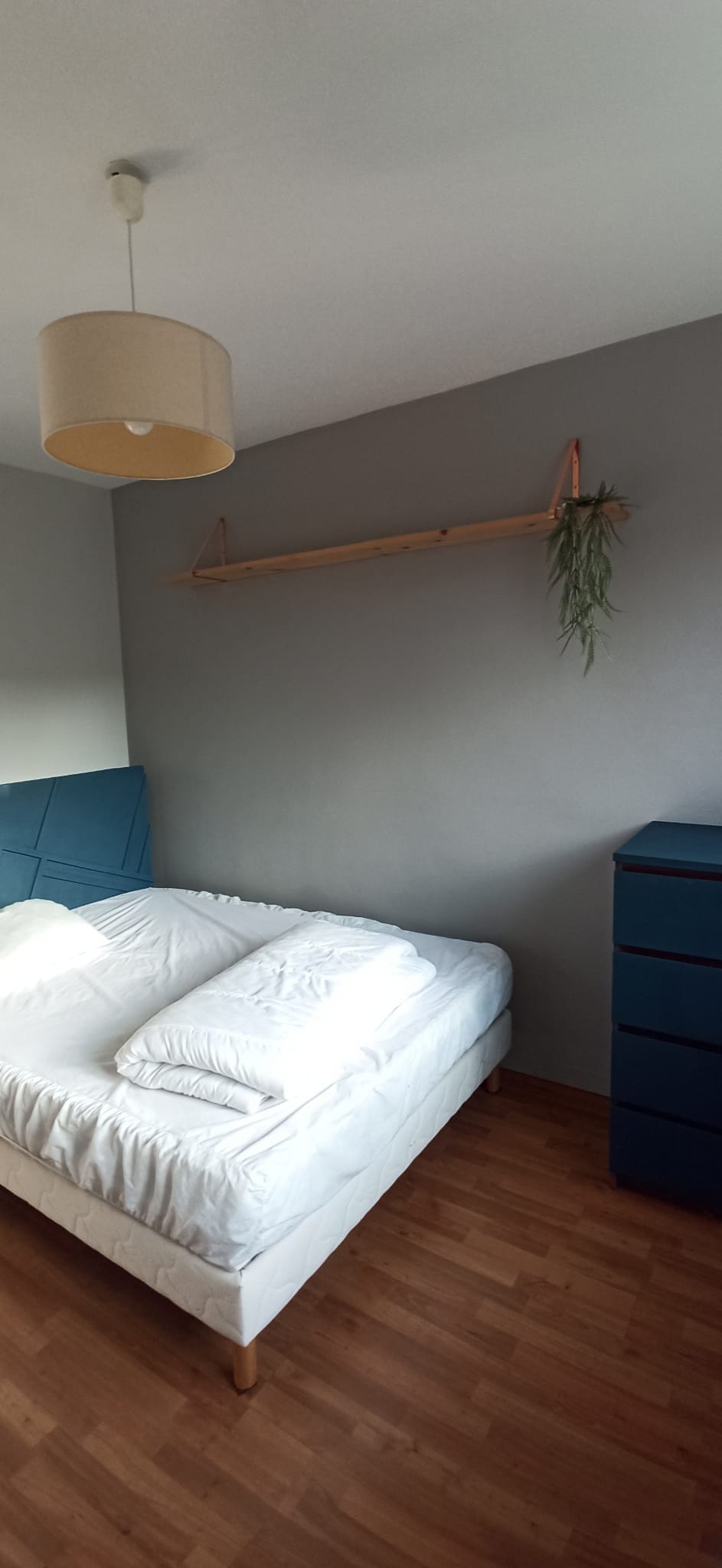 Famiglia Saint-Jacques-de-la-Lande 665941