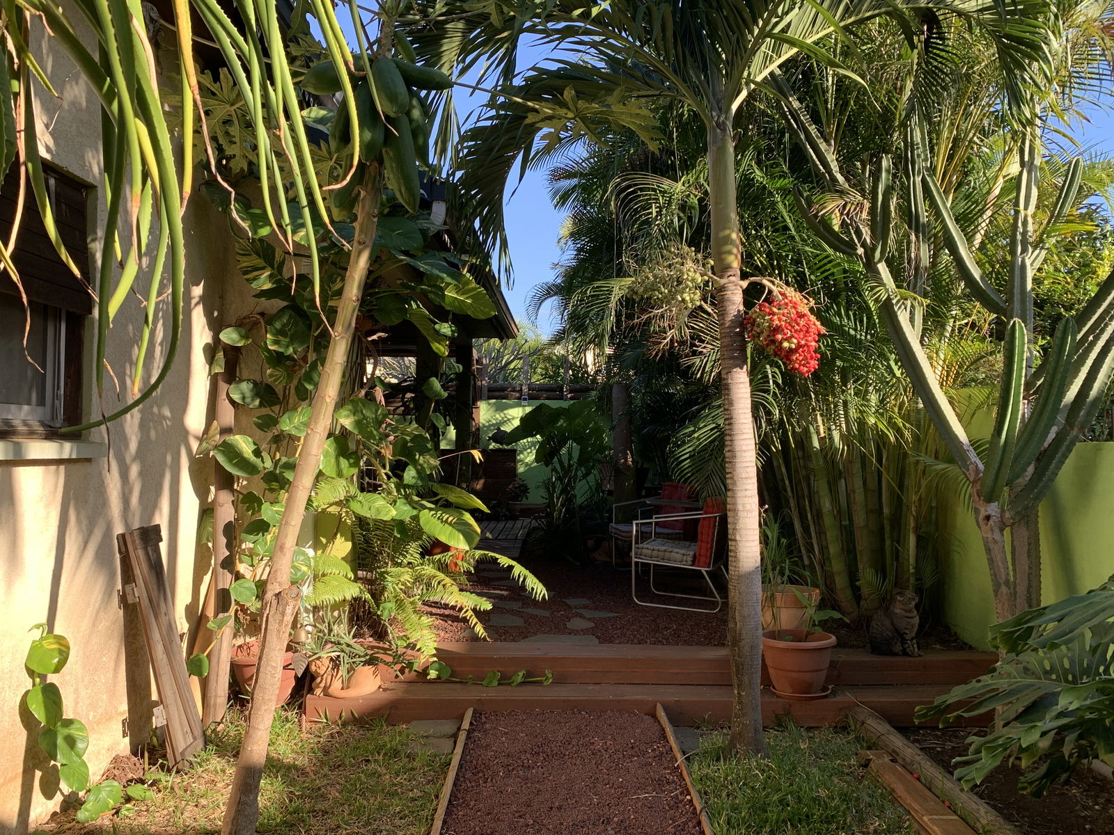 Famiglia Etang-Salé les Hauts 209353