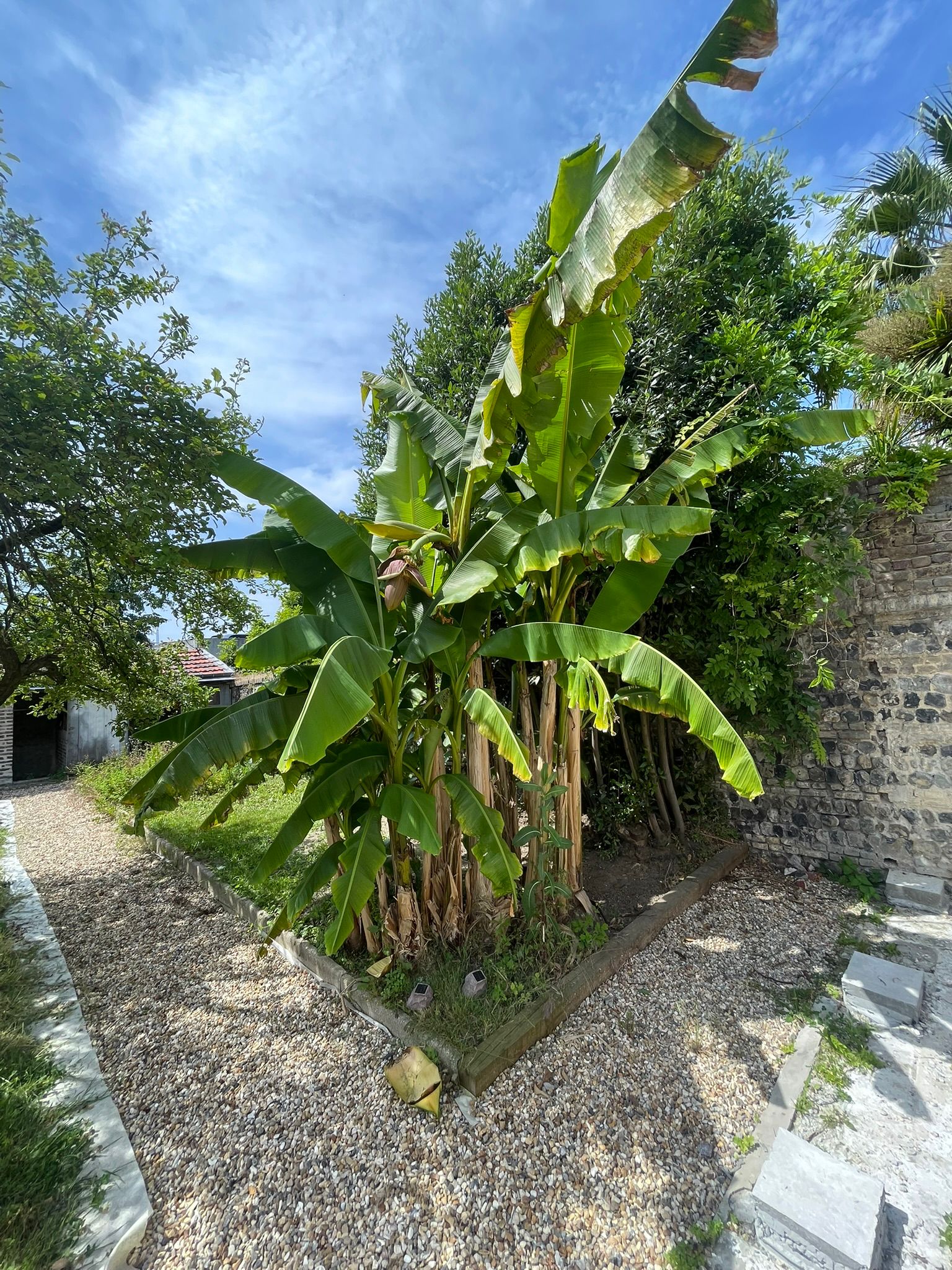 Coliving Le Havre 641668