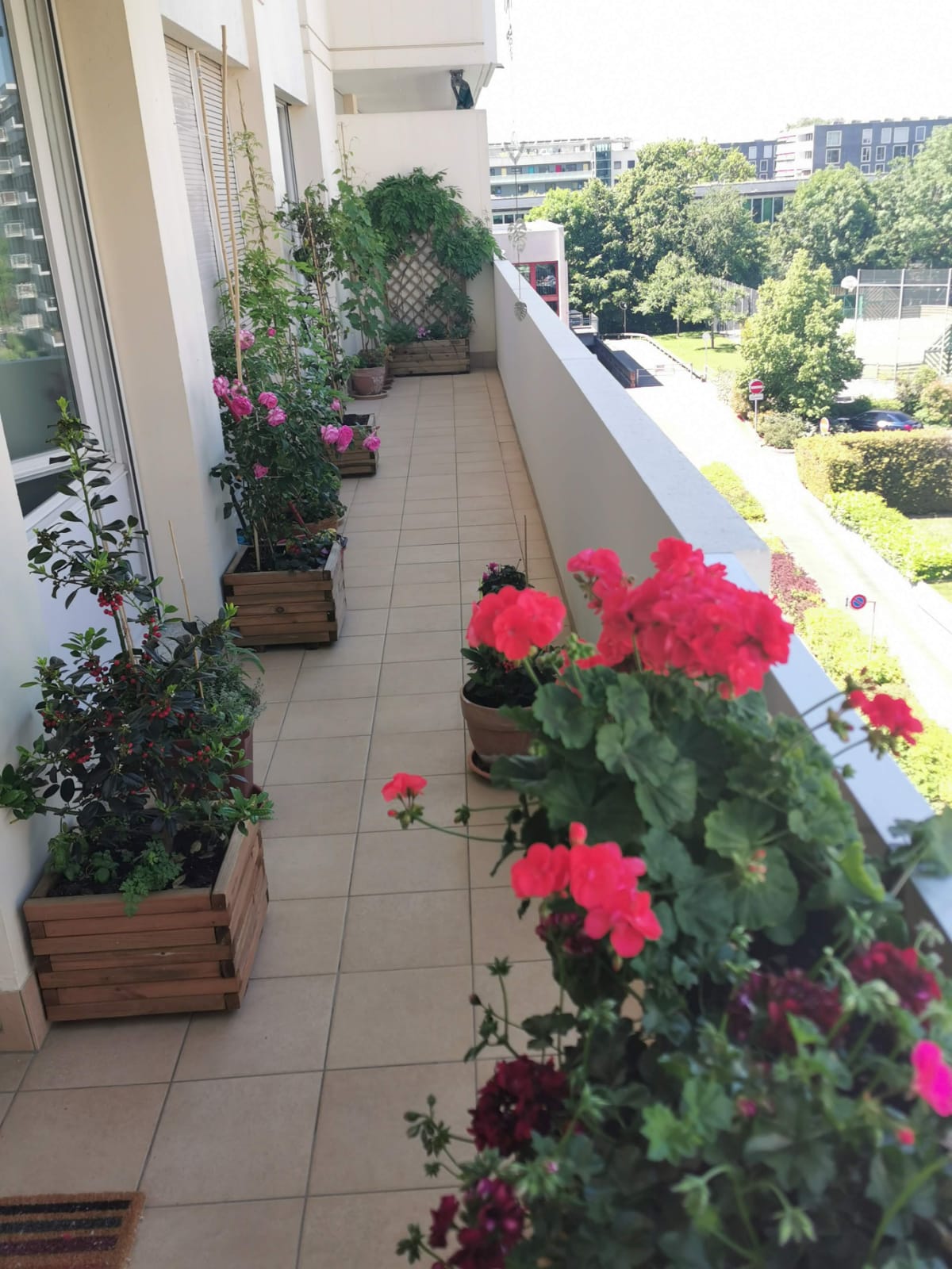 Collocazione Le Grand-Saconnex 548904