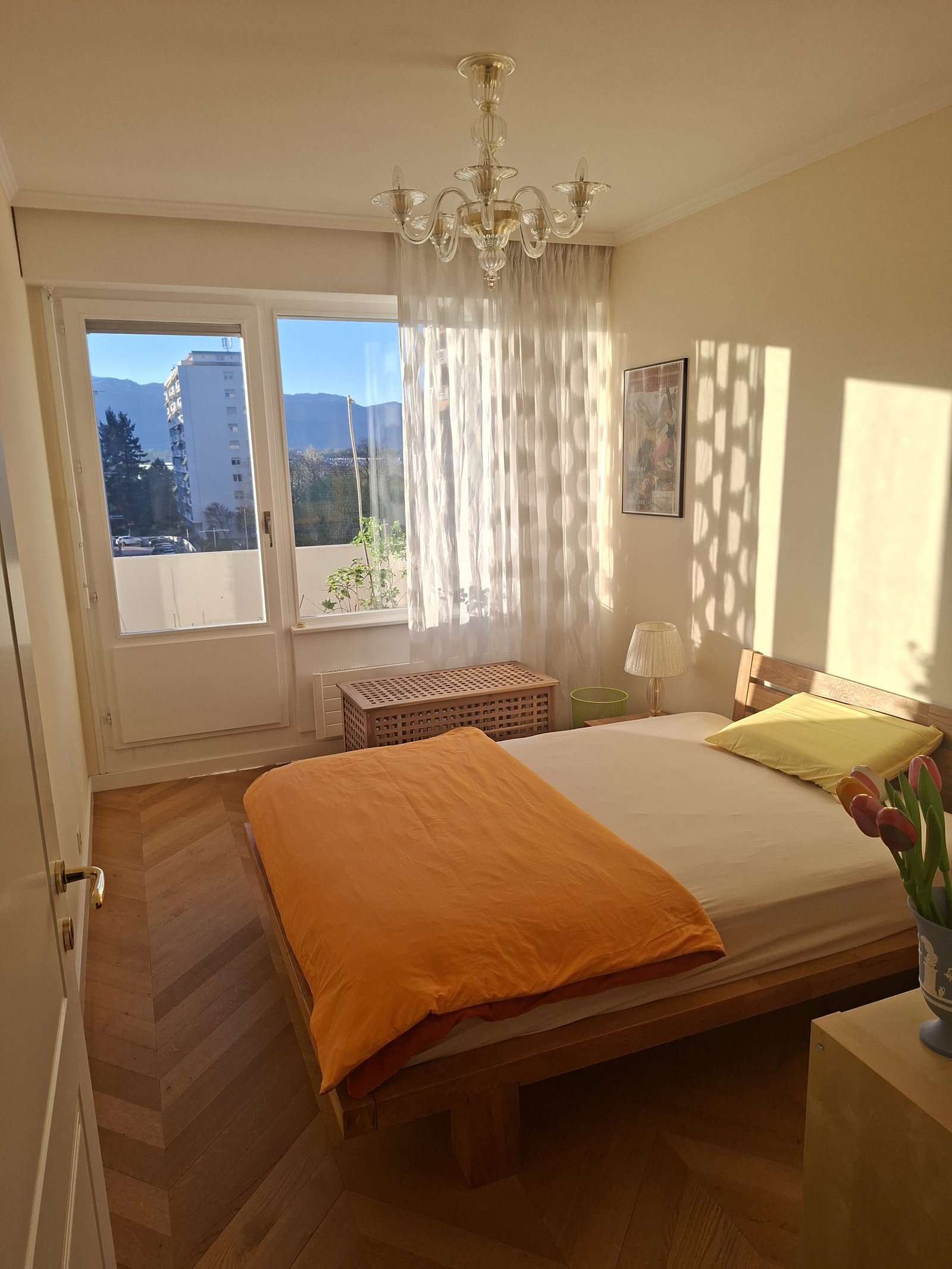 Collocazione Le Grand-Saconnex 542909