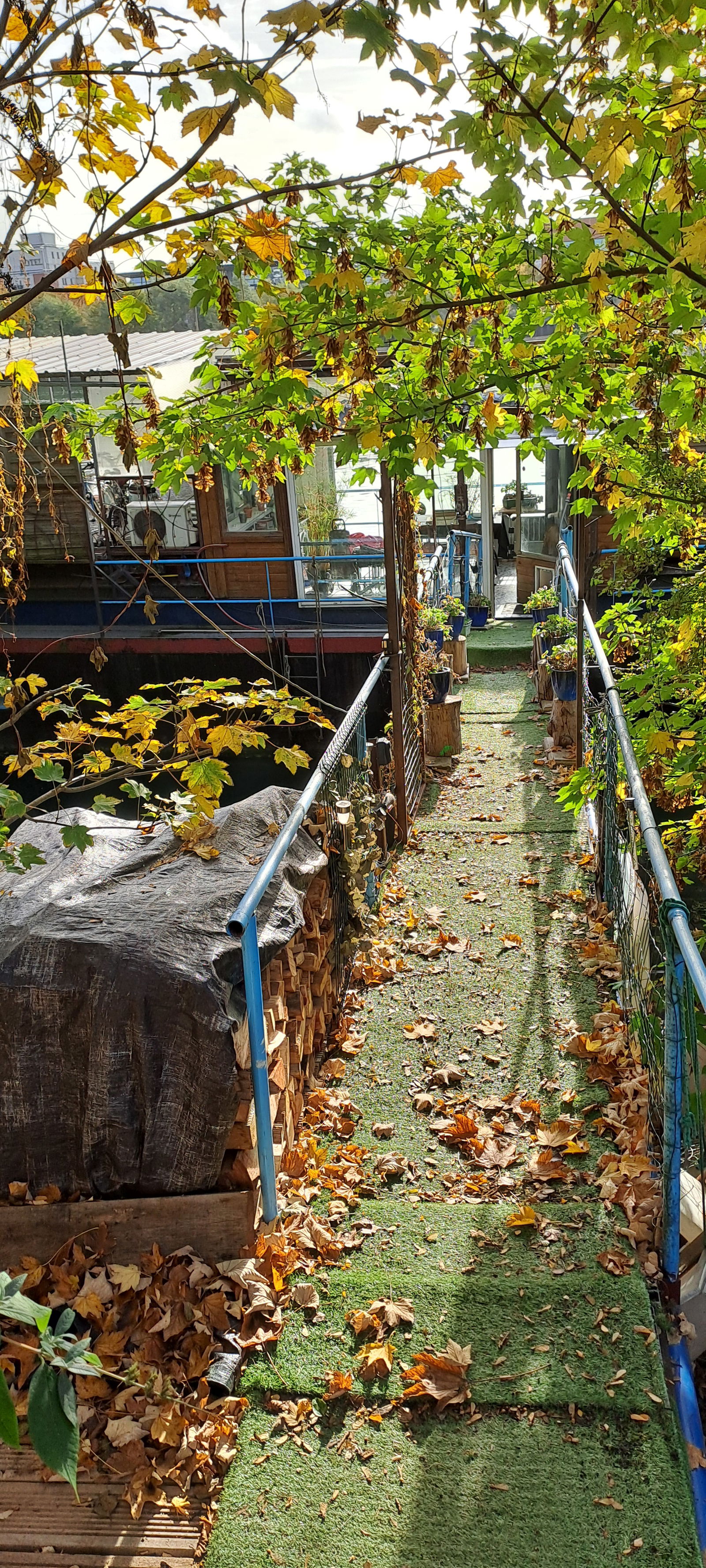 Famiglia Bezons 641952