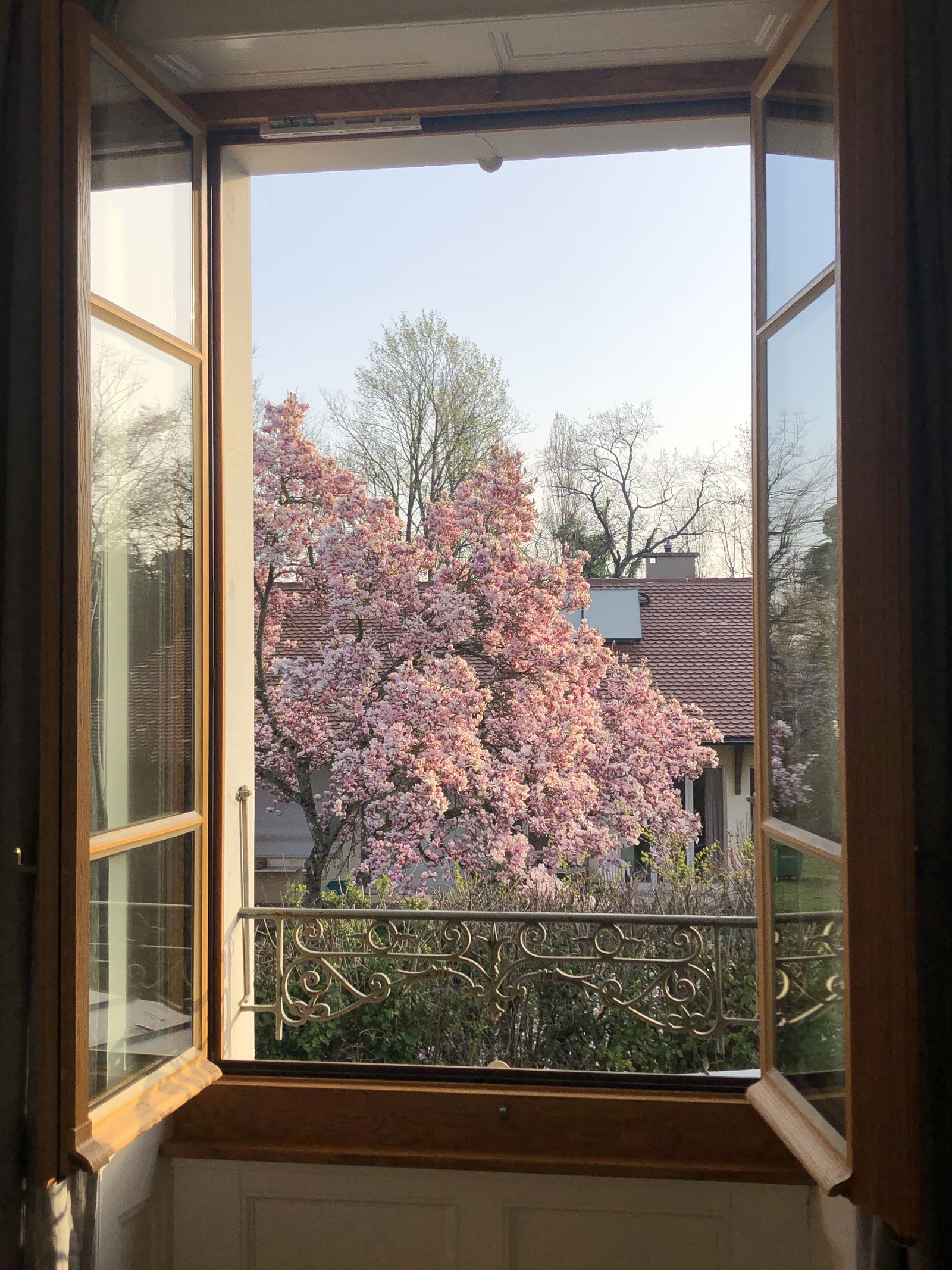 Famiglia Troinex 264159