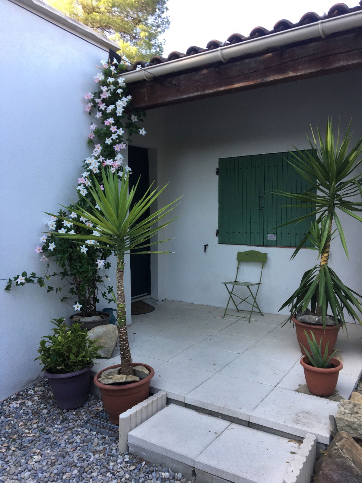 Famiglia Ceyreste 243907