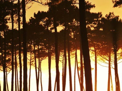 Camere Per Gli Ospiti Mimizan 94696