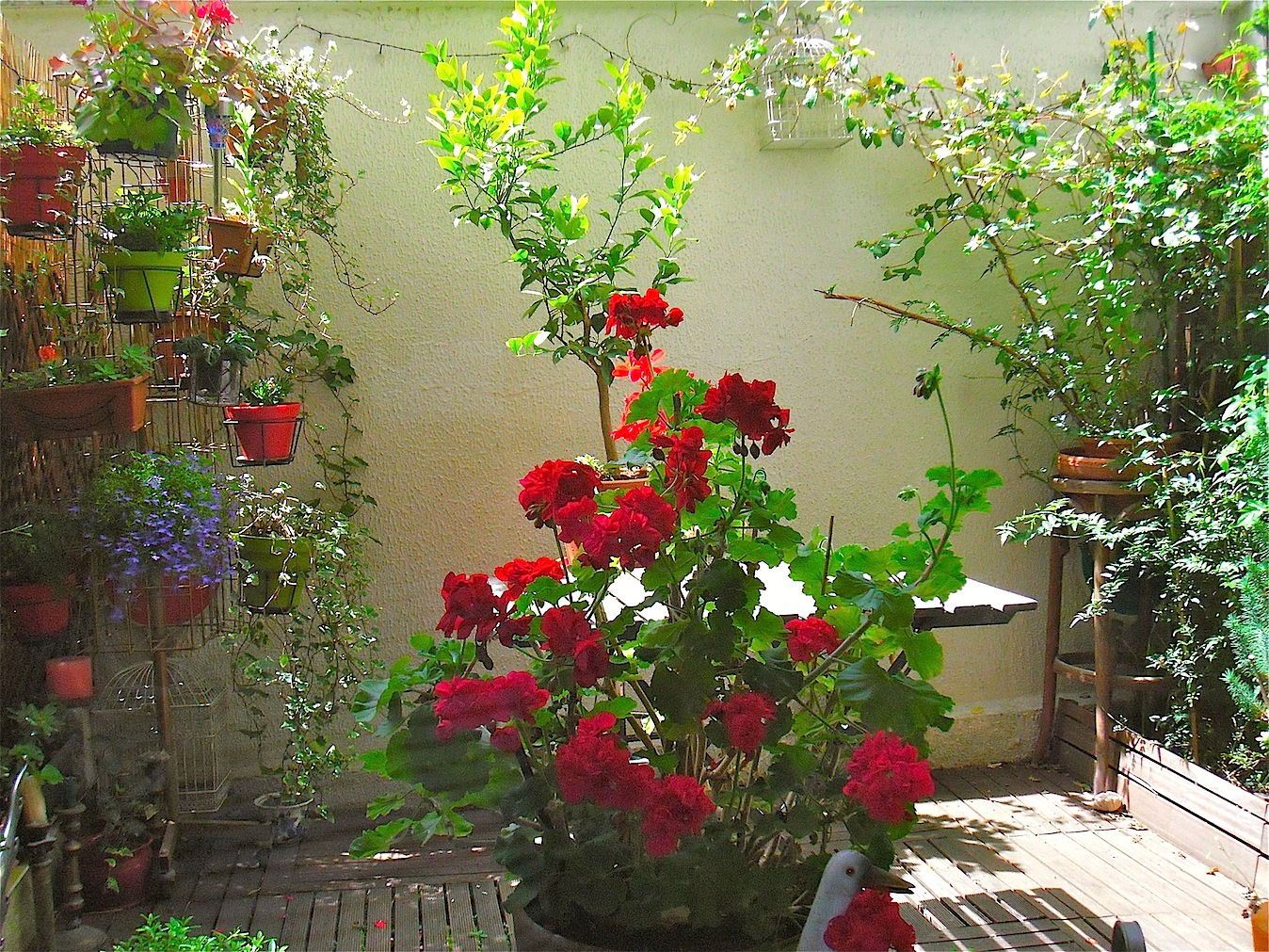 Famiglia Paris 133372