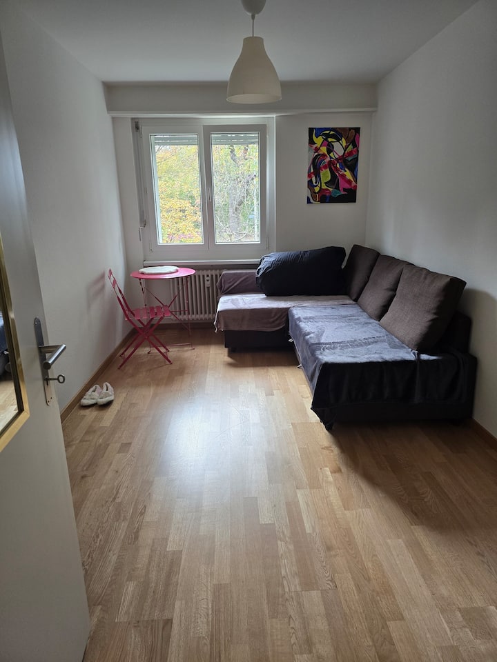 Collocazione Bottmingen 479772