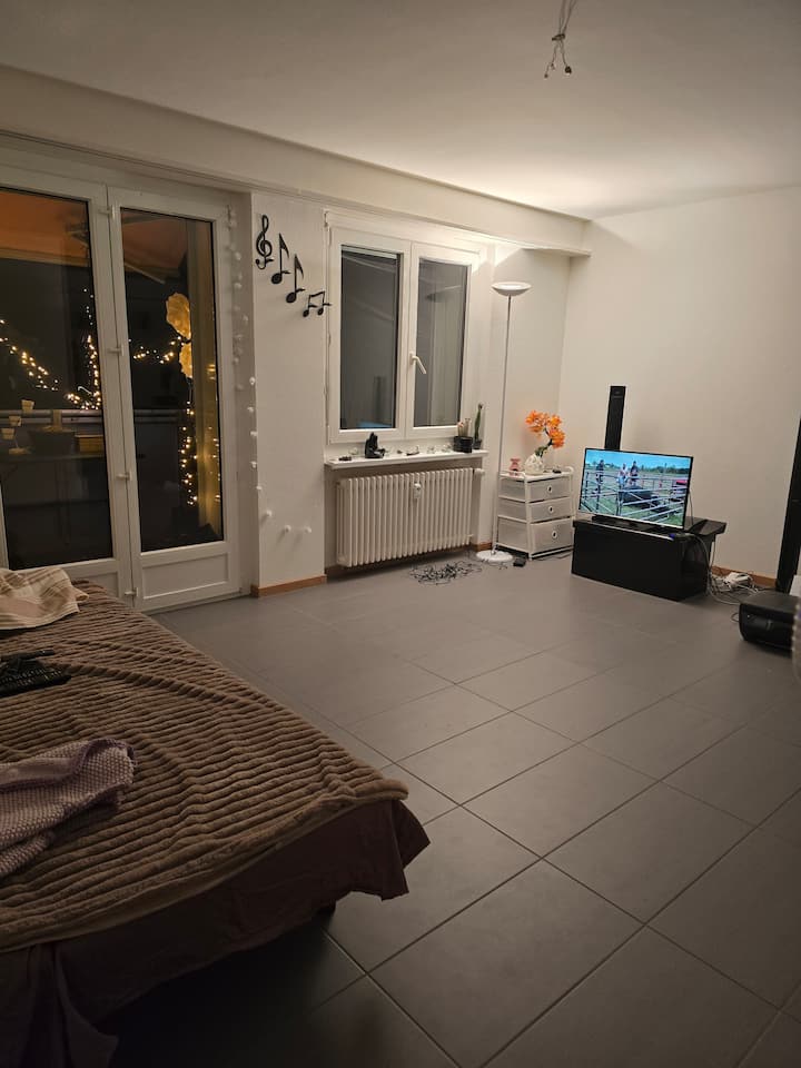 Collocazione Bottmingen 479772