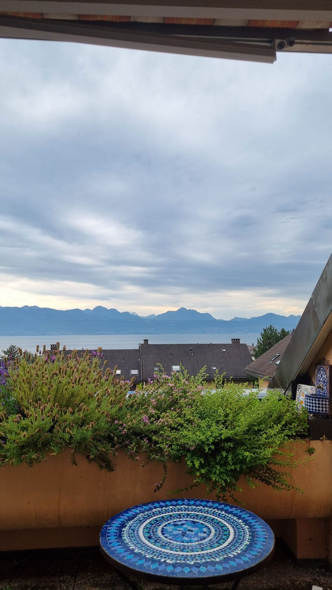 Collocazione Pully 388481