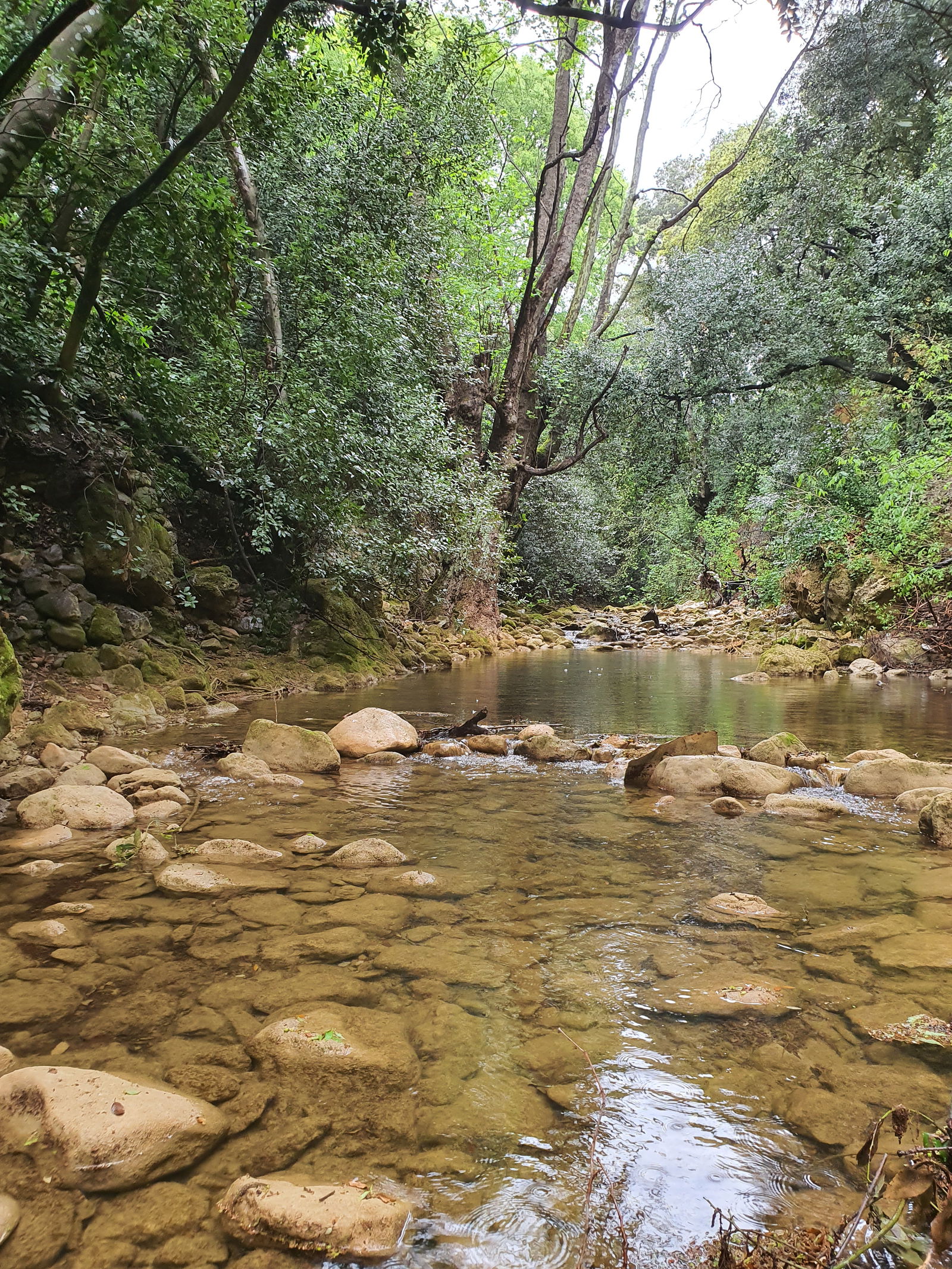 Collocazione Toulon 425245