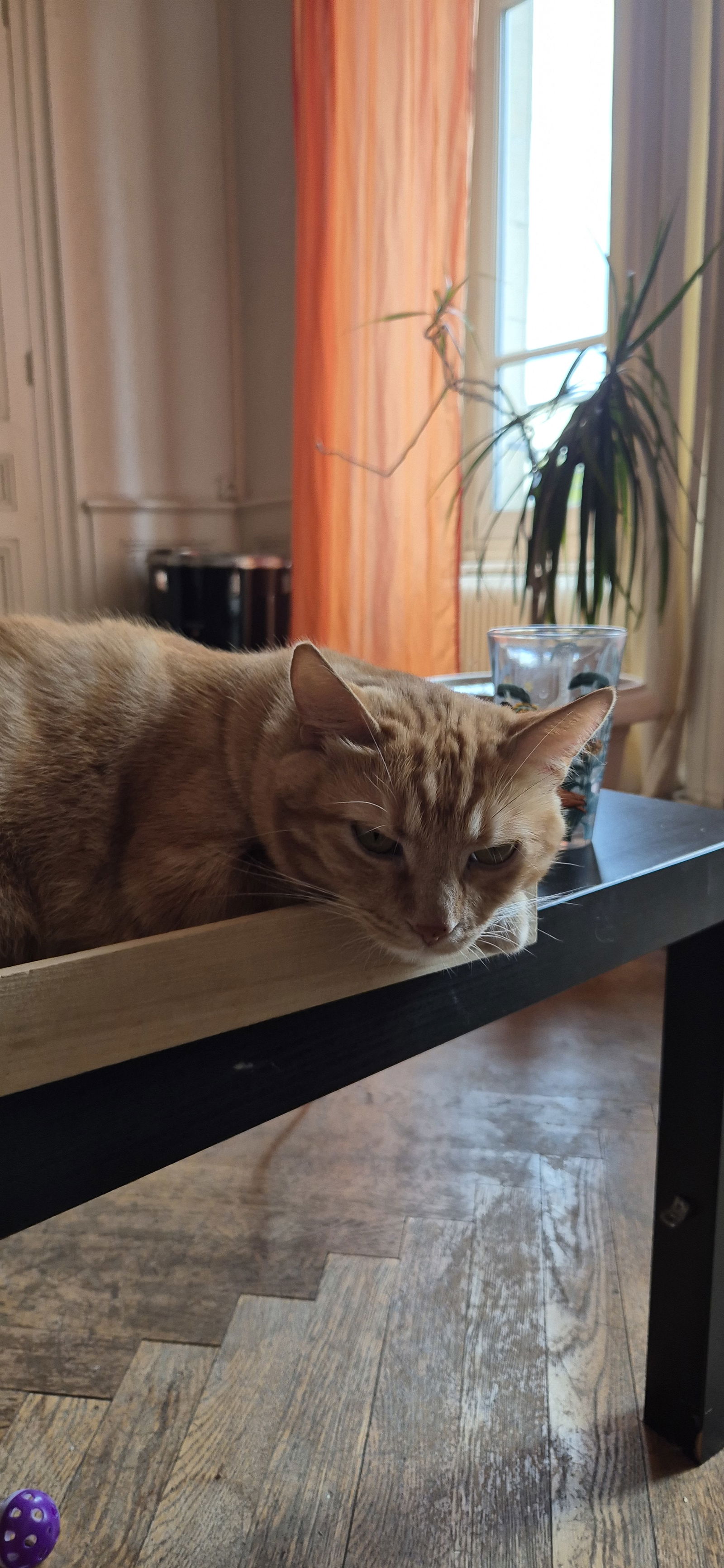 Collocazione Lyon 628272