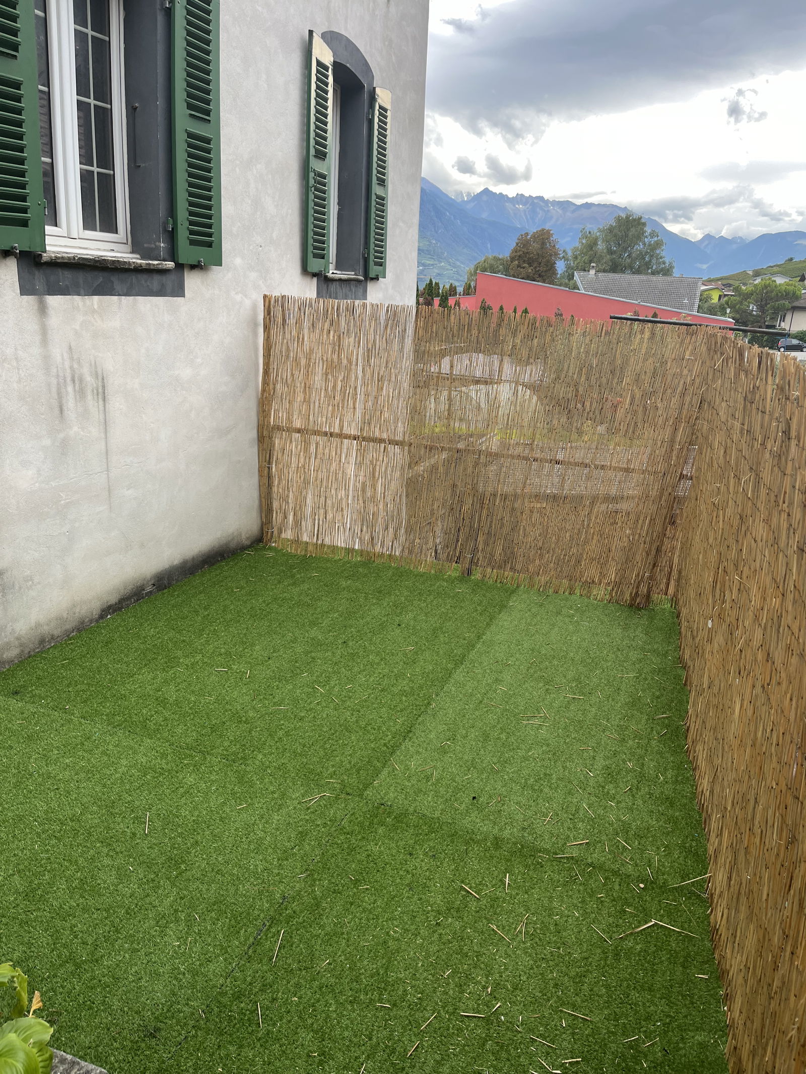 Collocazione Leytron 479272