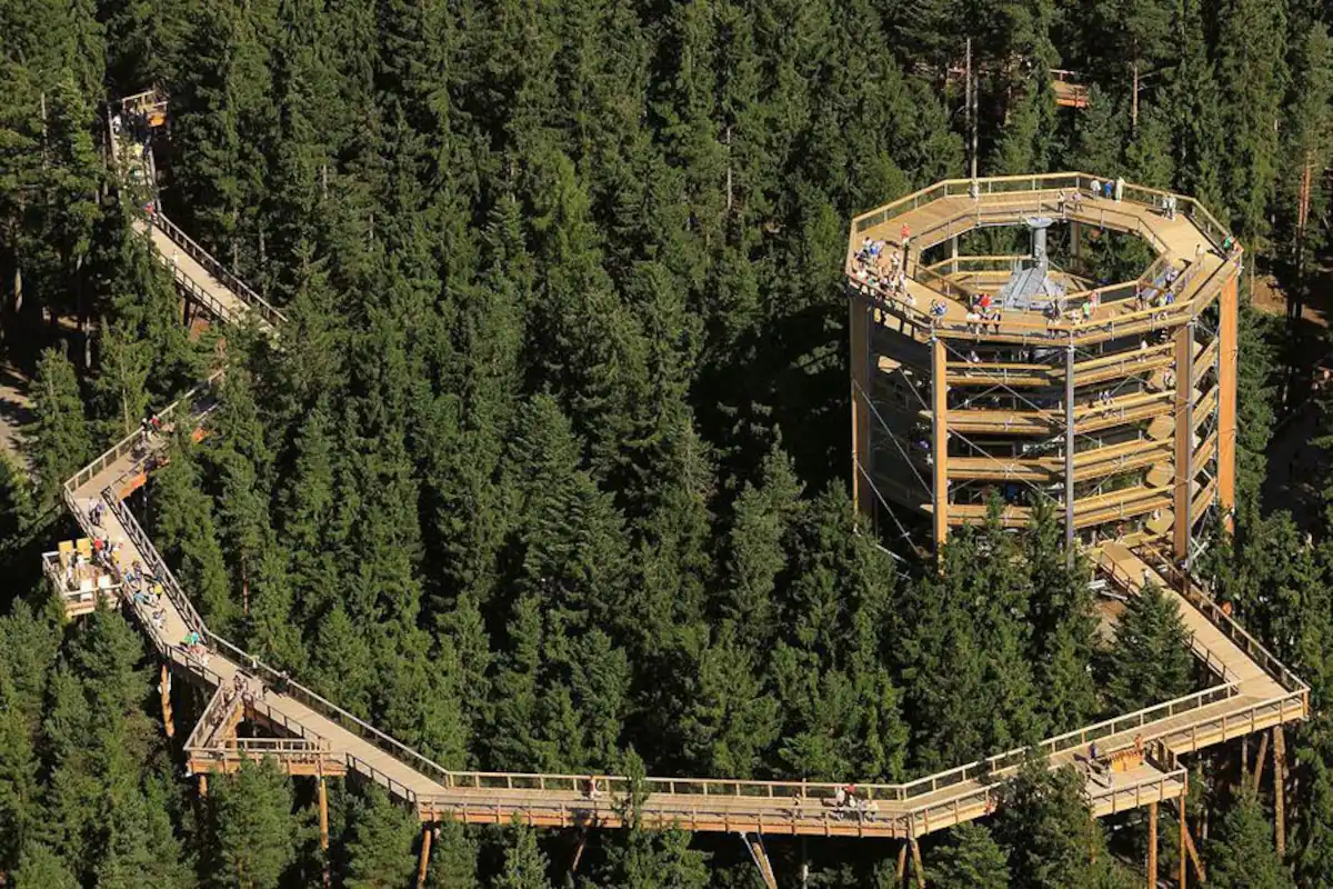 Famiglia Soultz-sous-Forêts 265499