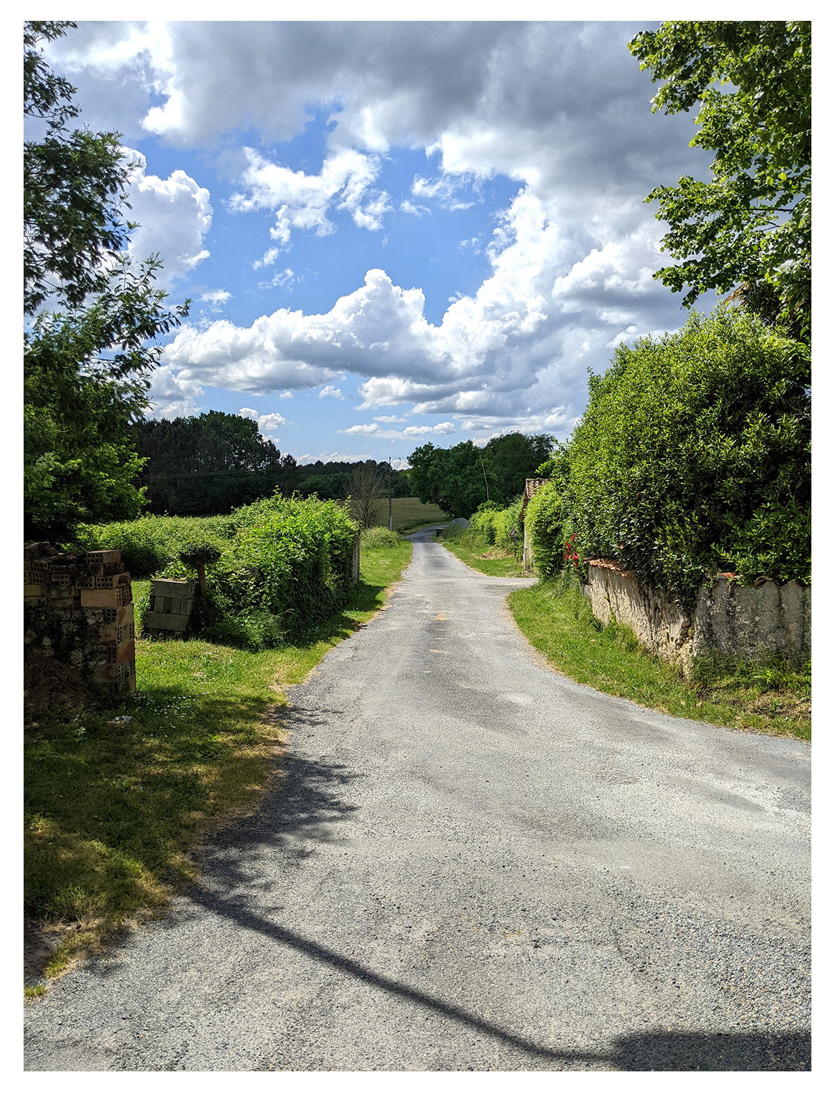 Famiglia Orignolles 661473