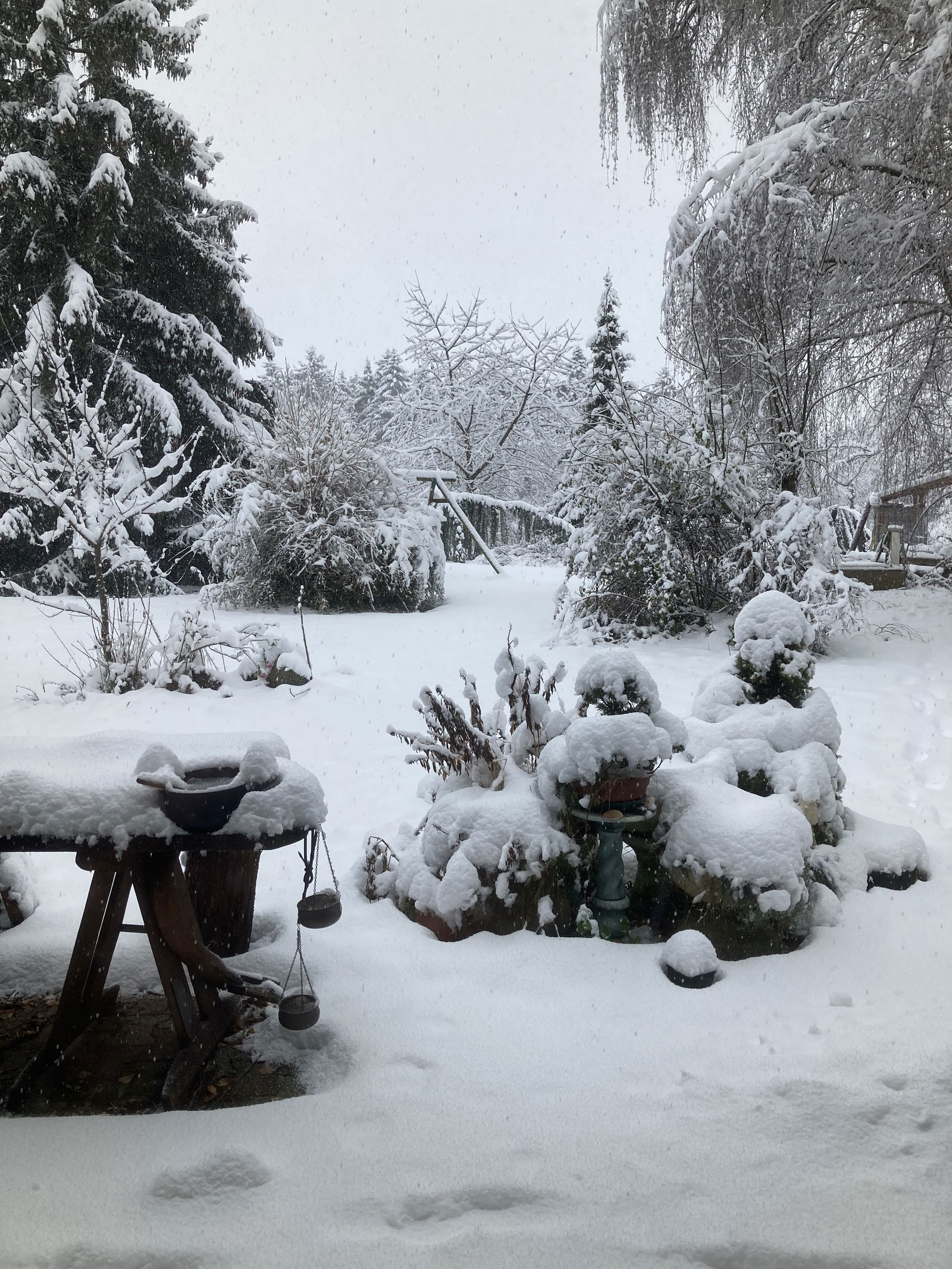 Famiglia Larringes 107803