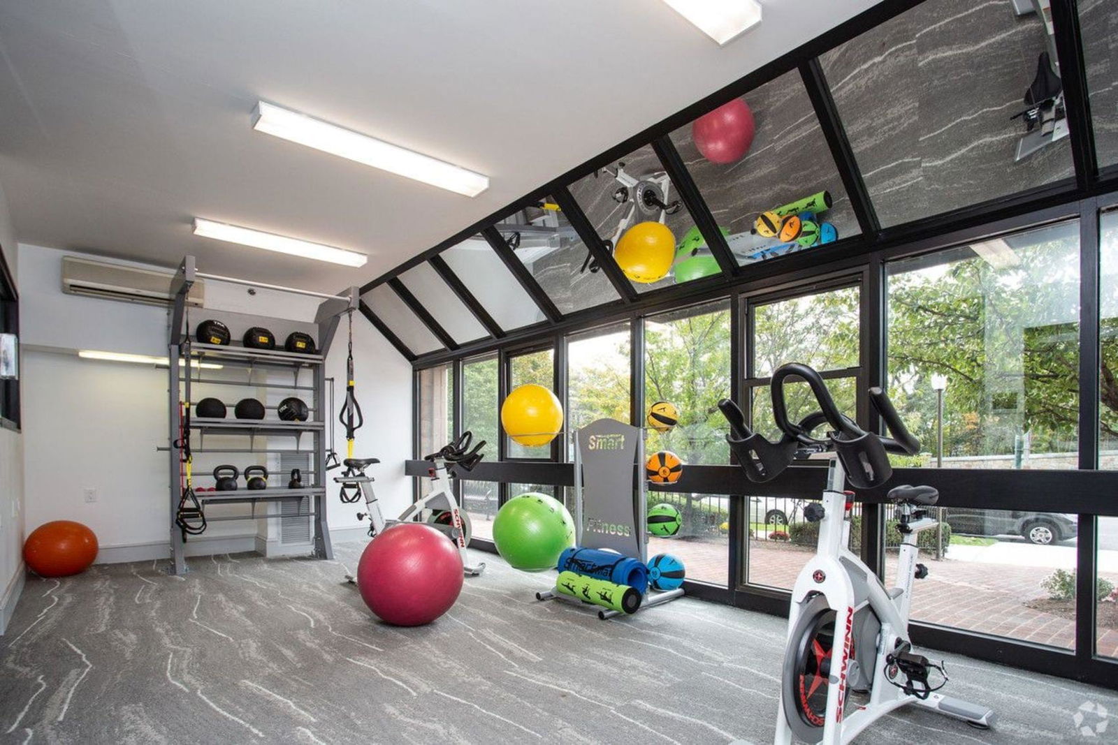 Famiglia Boston 263188