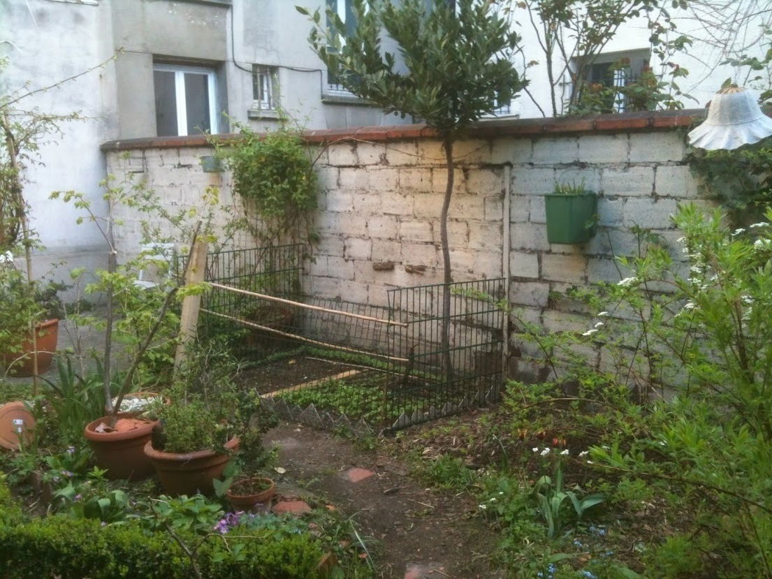 Famiglia Pantin 96656